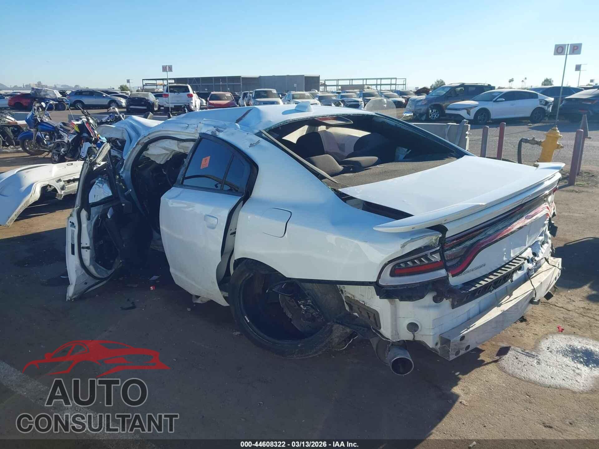DODGE CHARGER 2019 - 2C3CDXCT8KH738096