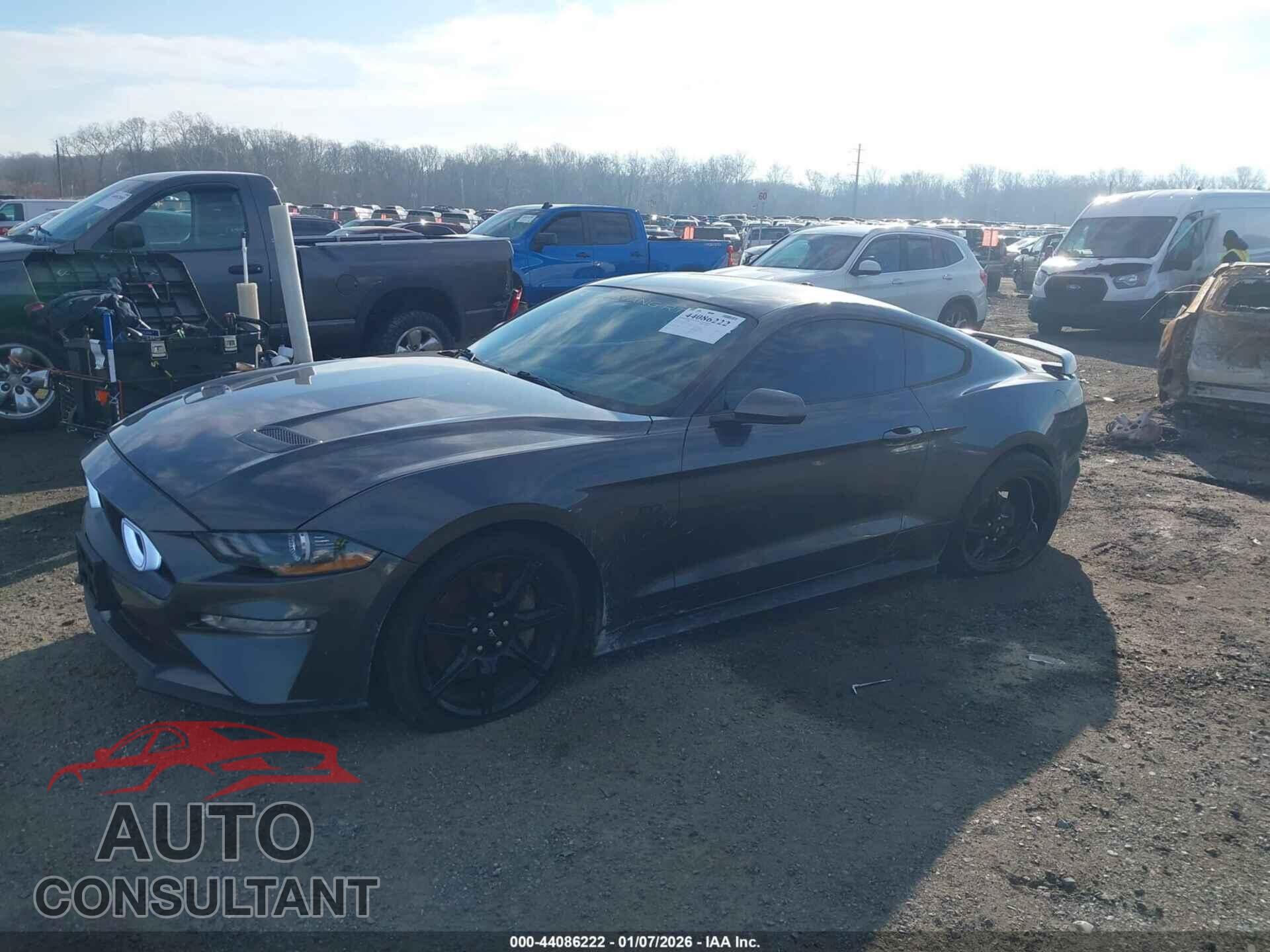 FORD MUSTANG 2019 - 1FA6P8CF3K5203321