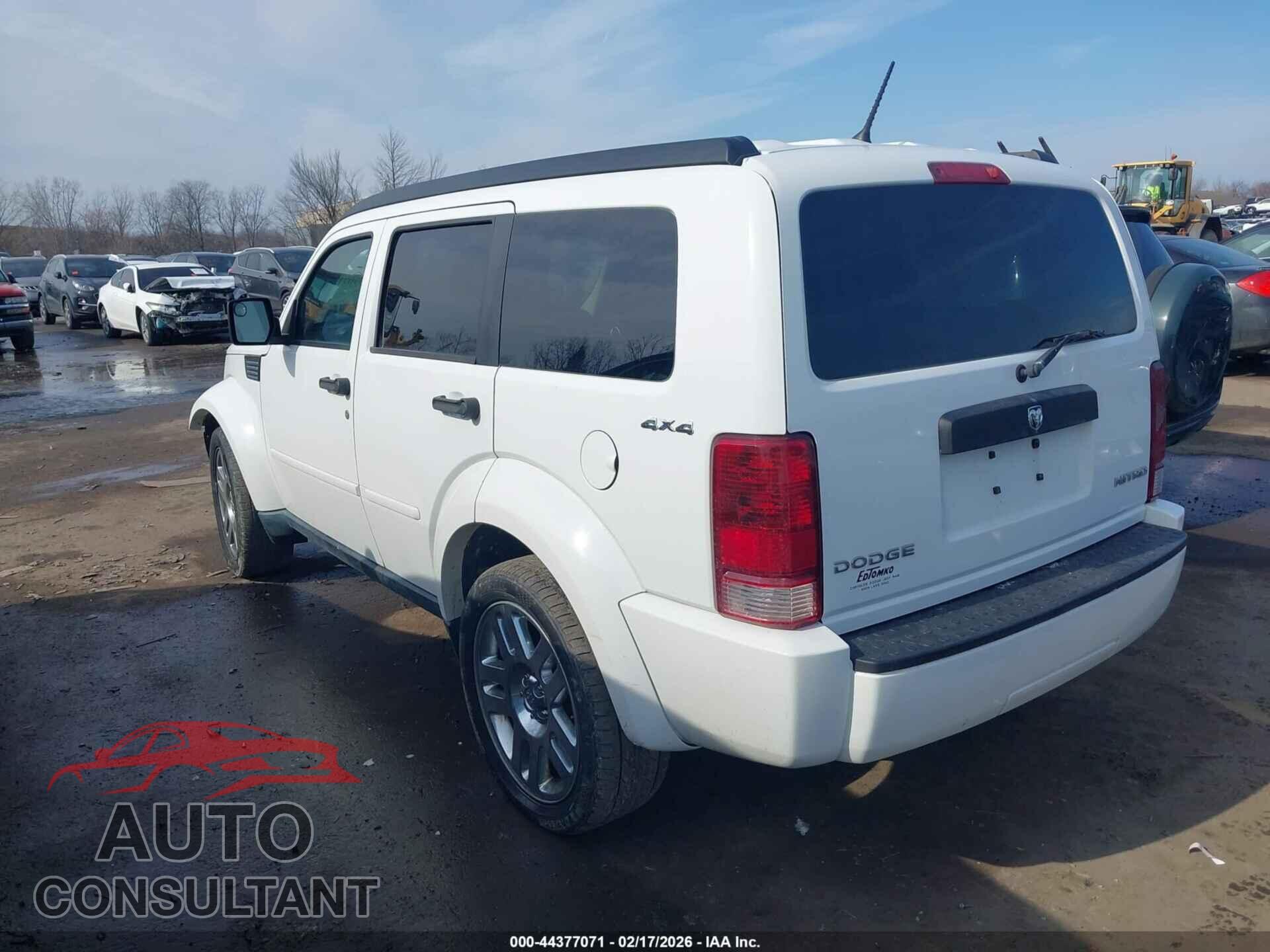 DODGE NITRO 2011 - 1D4PU4GK7BW590475