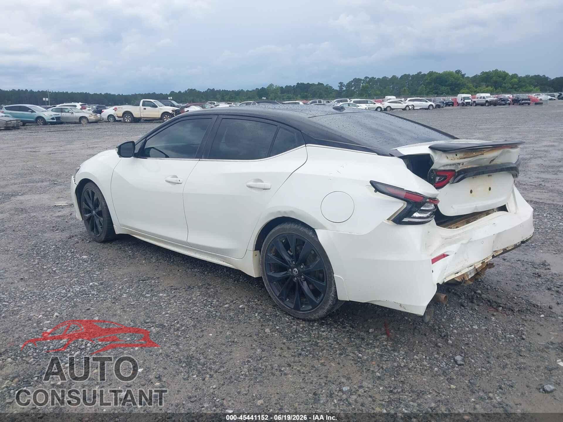 NISSAN MAXIMA 2021 - 1N4AA6EV7MC509263