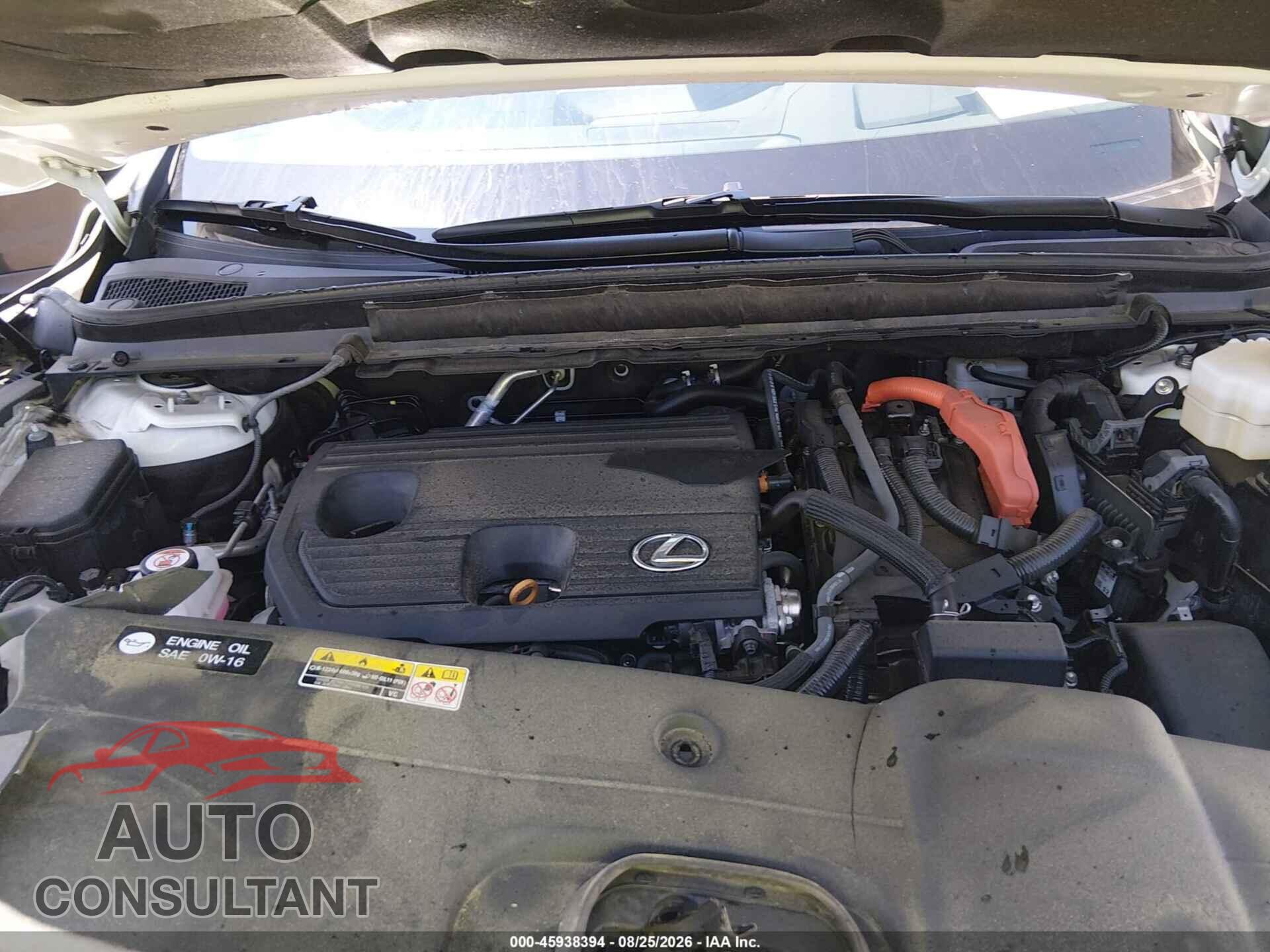 LEXUS RX 350H 2025 - 2T2BBMCA1SC071663