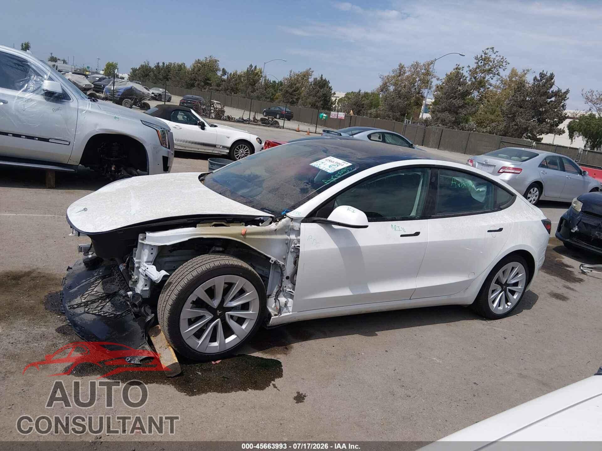 TESLA MODEL 3 2021 - 5YJ3E1EA5MF069022