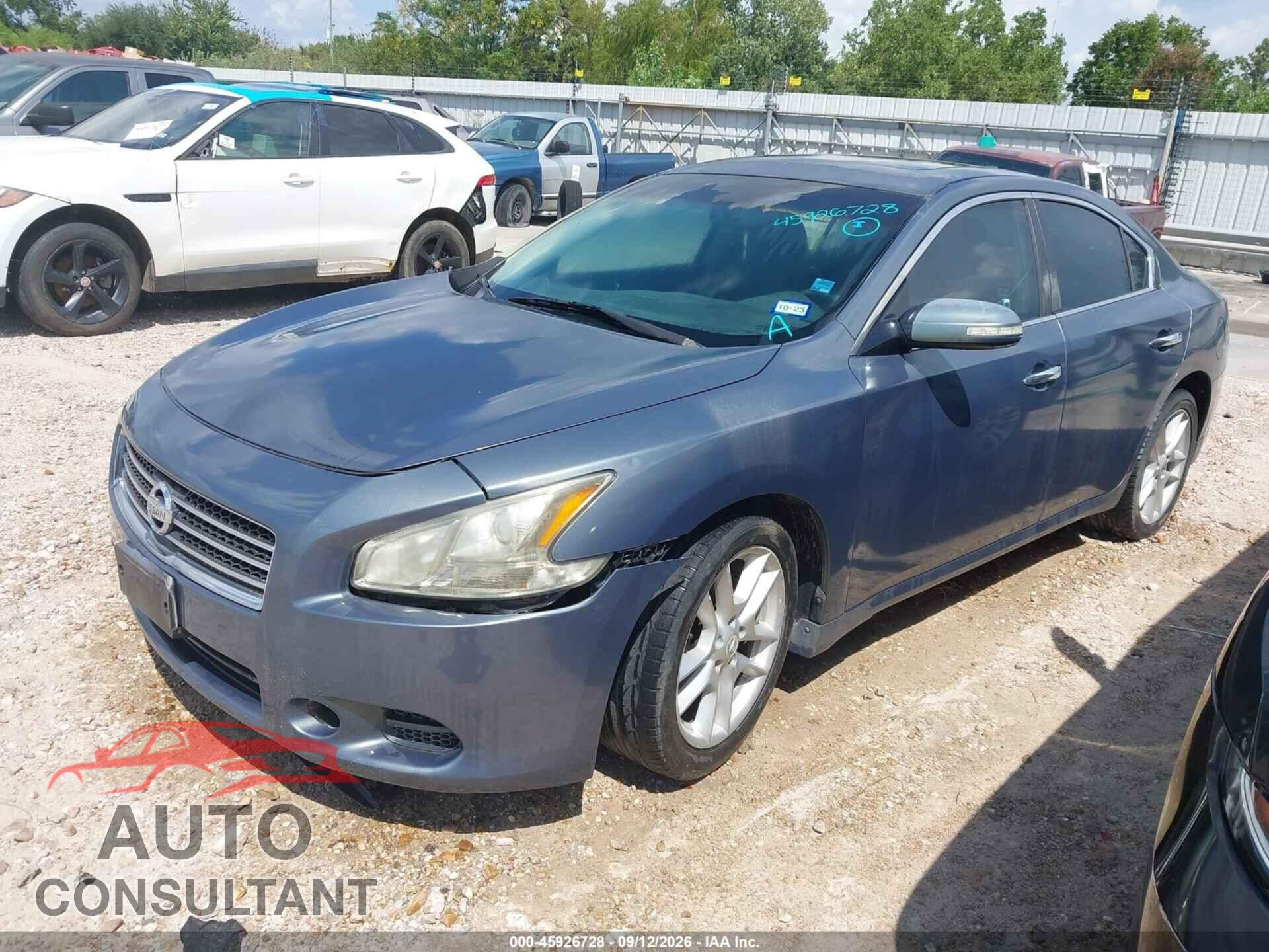 NISSAN MAXIMA 2009 - 1N4AA51E59C838521