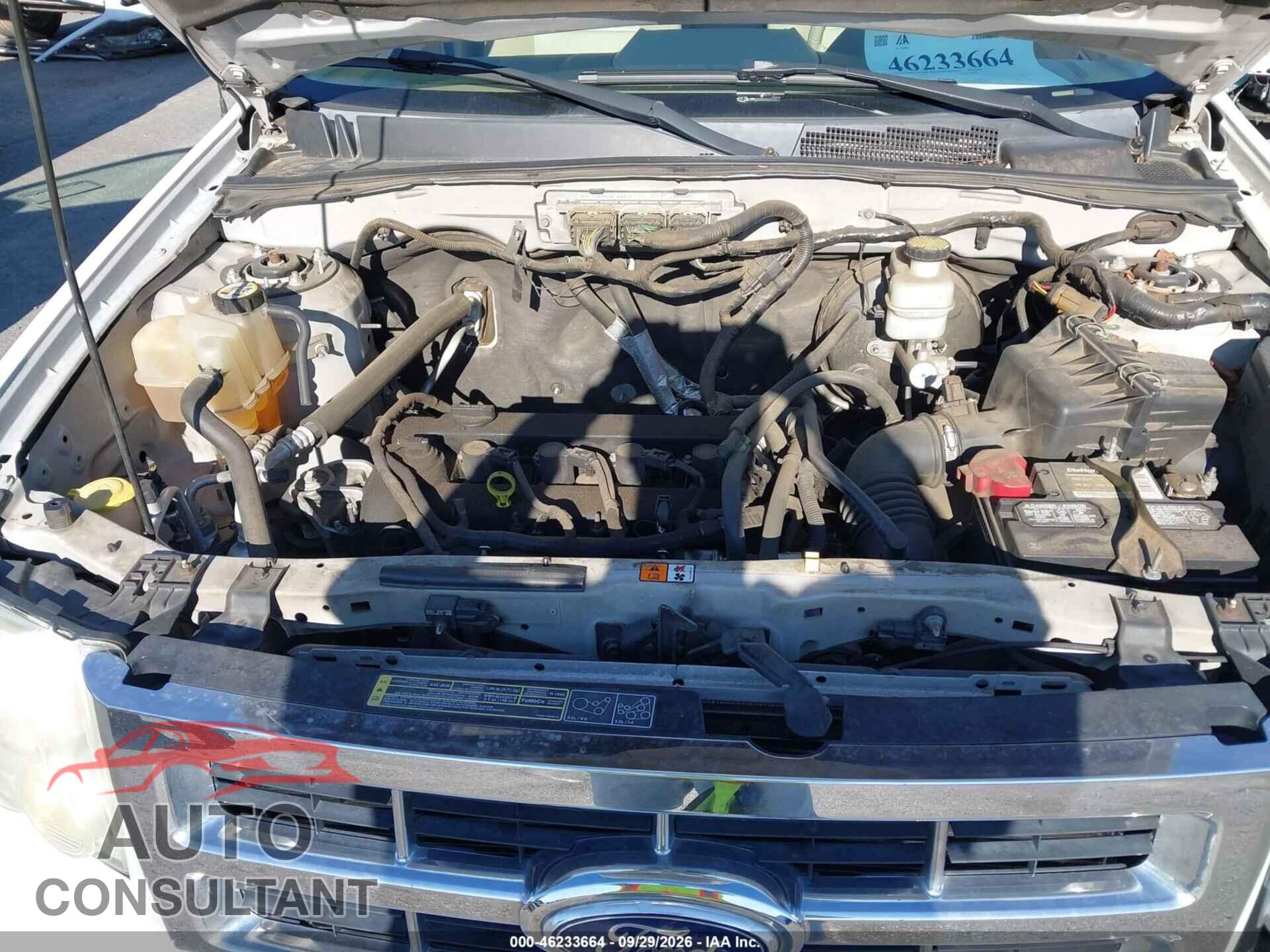FORD ESCAPE 2010 - 1FMCU0E73AKC87813