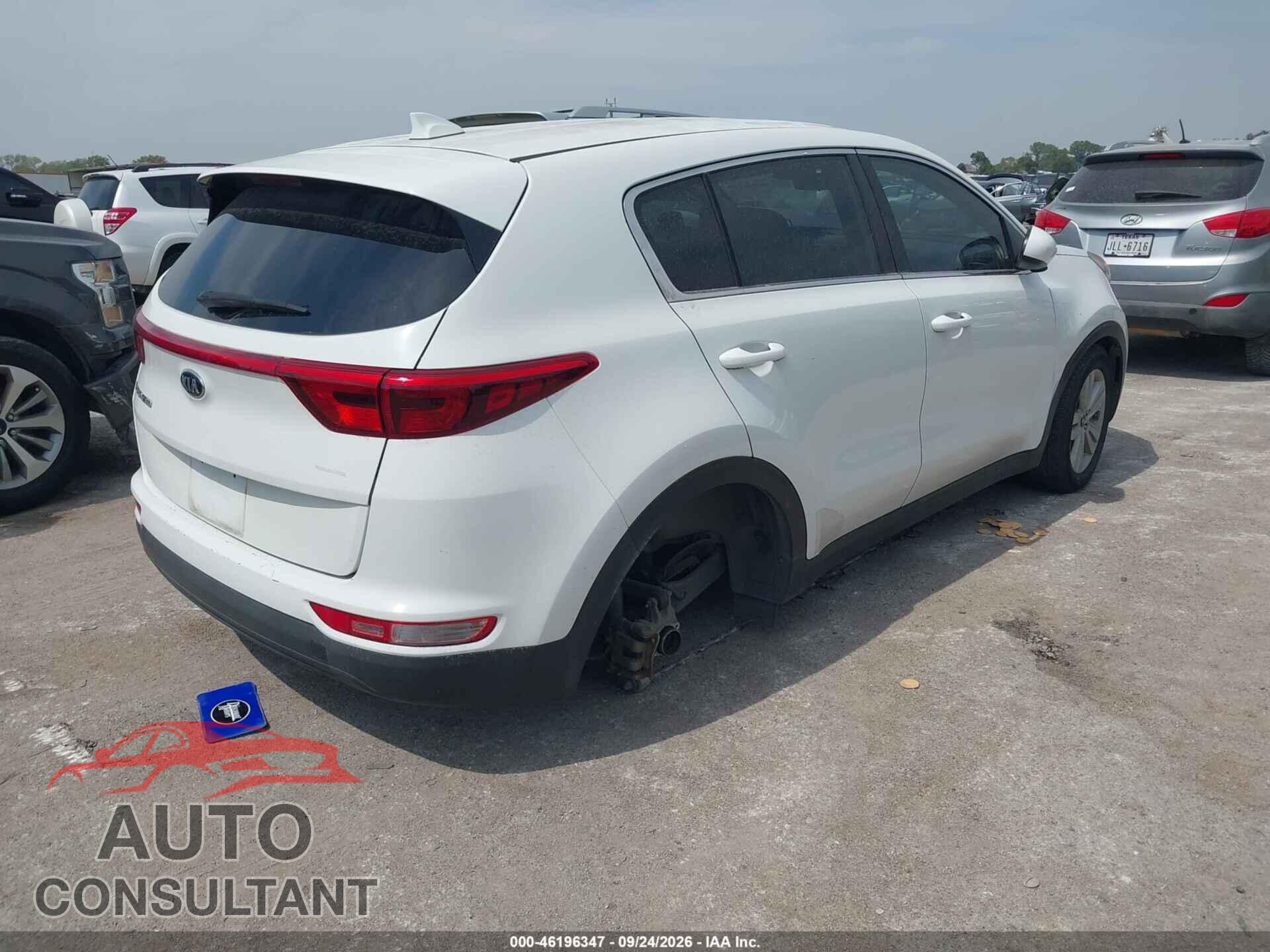 KIA SPORTAGE 2017 - KNDPM3AC3H7271778