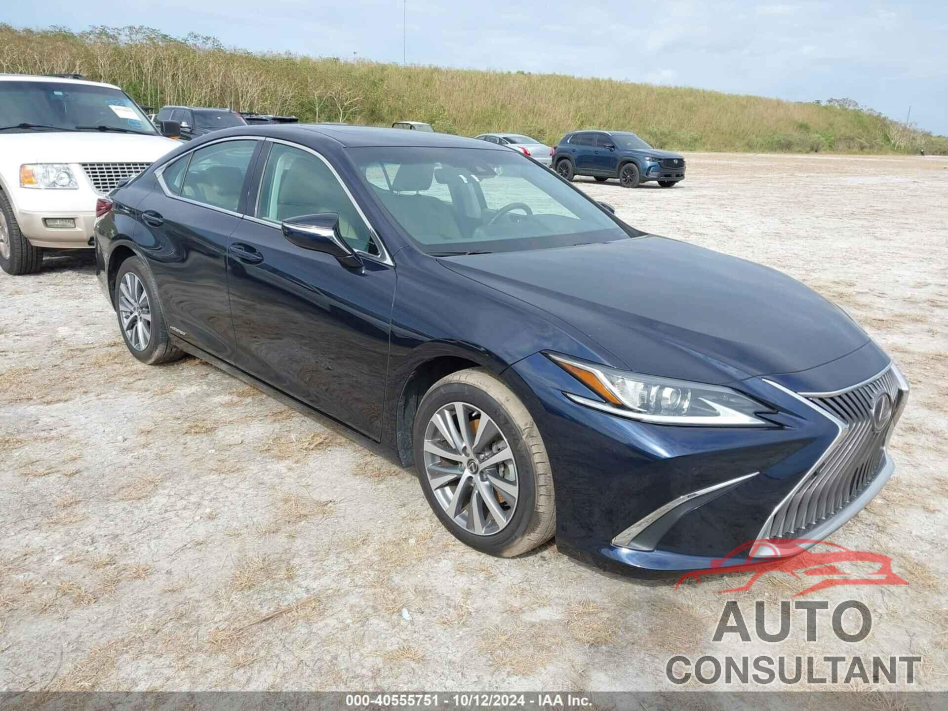 LEXUS ES 300H 2021 - 58ADA1C17MU002050