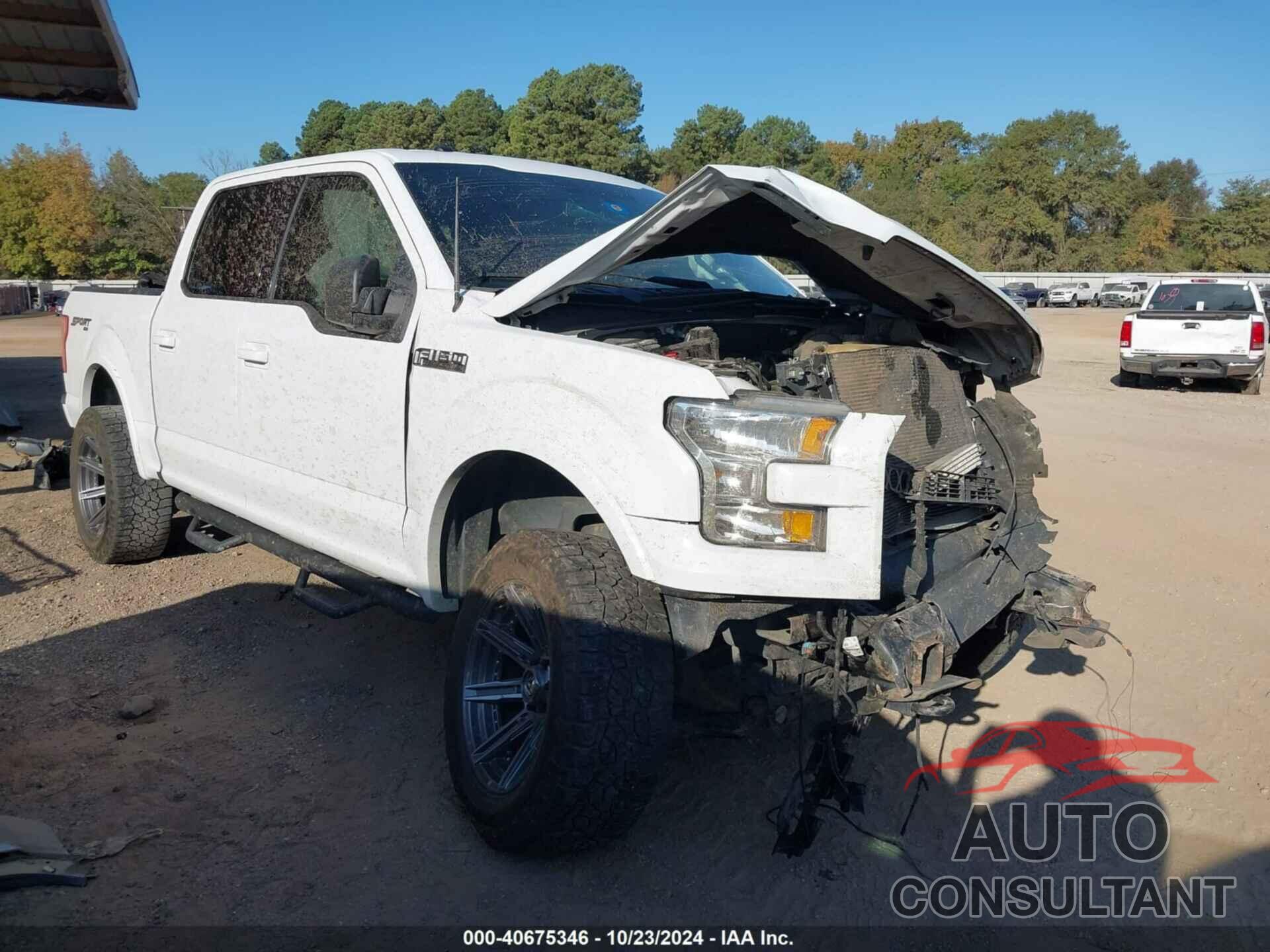 FORD F-150 2016 - 1FTEW1EF8GFC21201