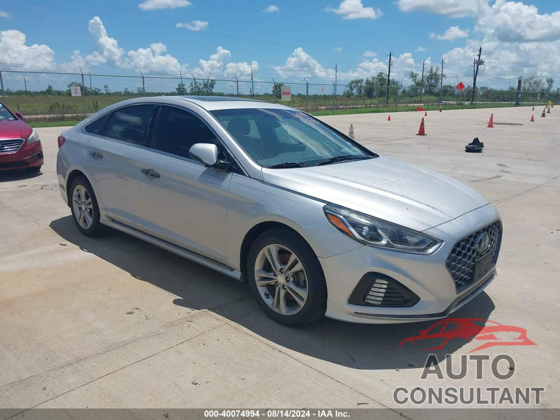 HYUNDAI SONATA 2019 - 5NPE34AF3KH801700