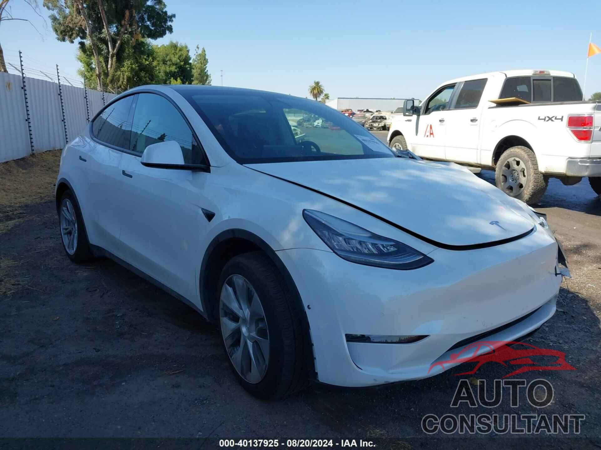 TESLA MODEL Y 2021 - 5YJYGDEE8MF146776