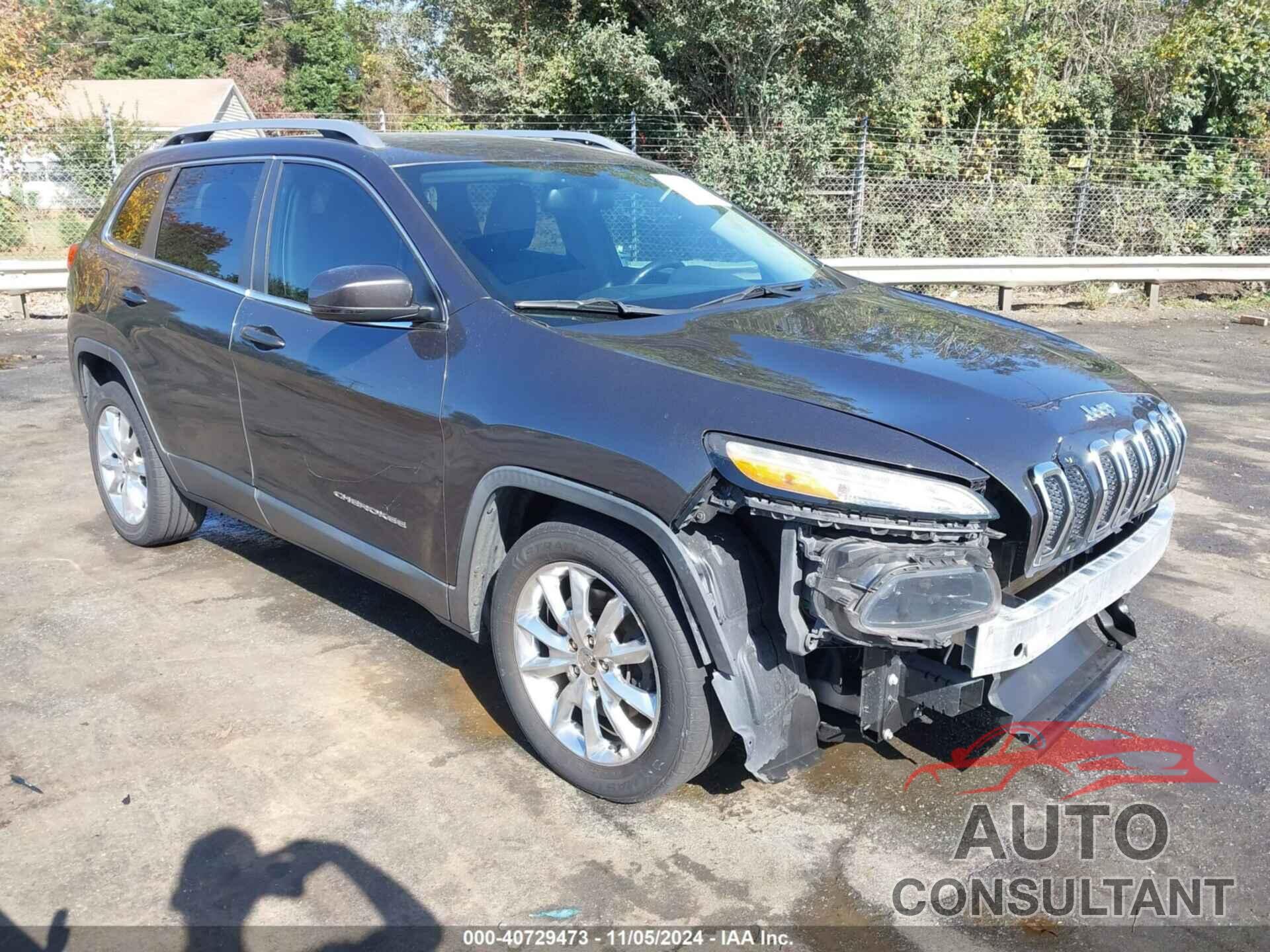 JEEP CHEROKEE 2016 - 1C4PJLDB4GW159197