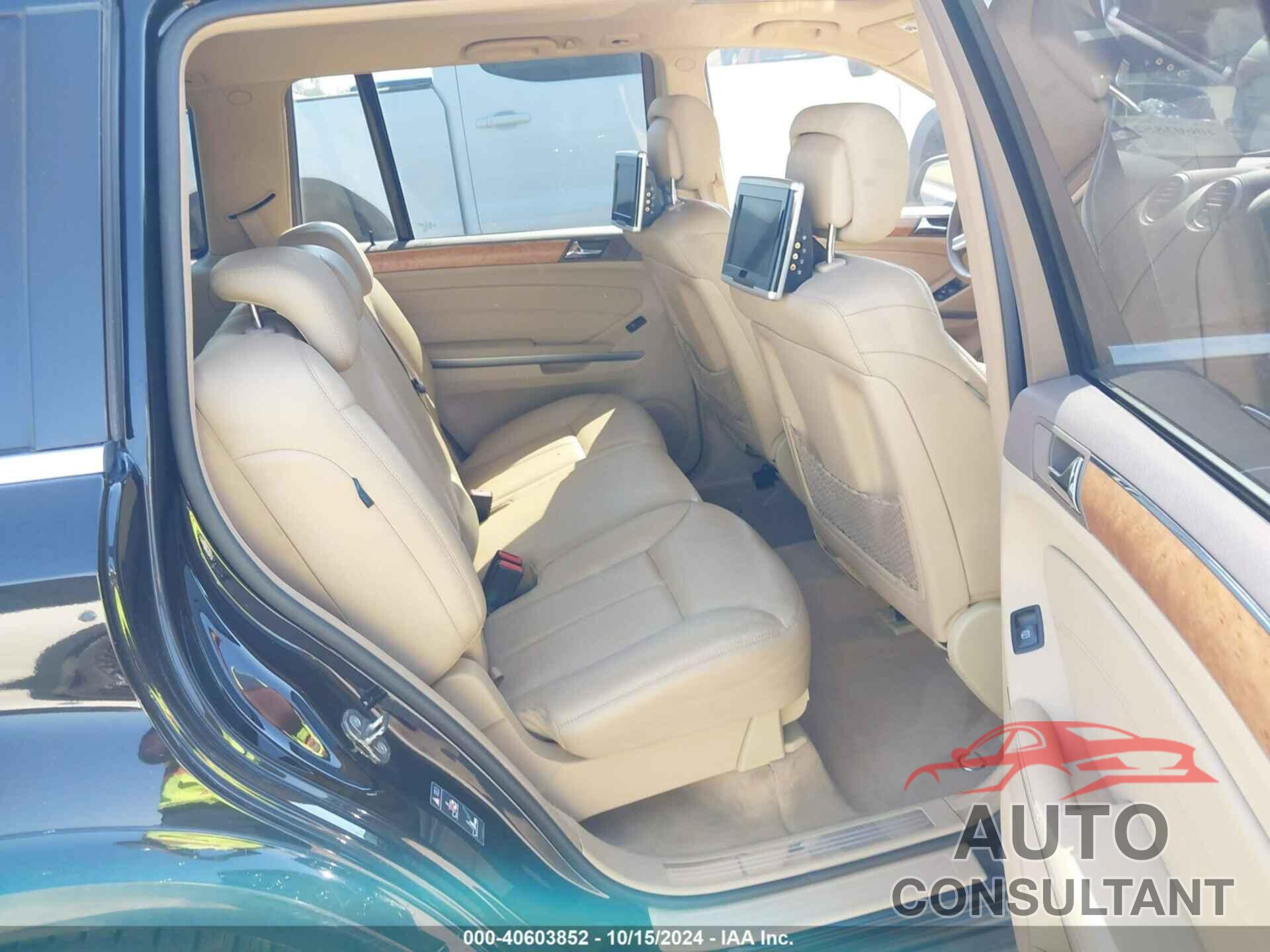 MERCEDES-BENZ GL 550 2009 - 4JGBF86E59A498918