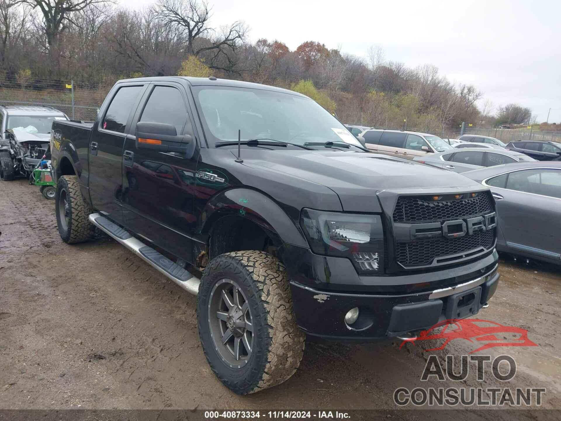 FORD F-150 2011 - 1FTFW1EF4BKD78860