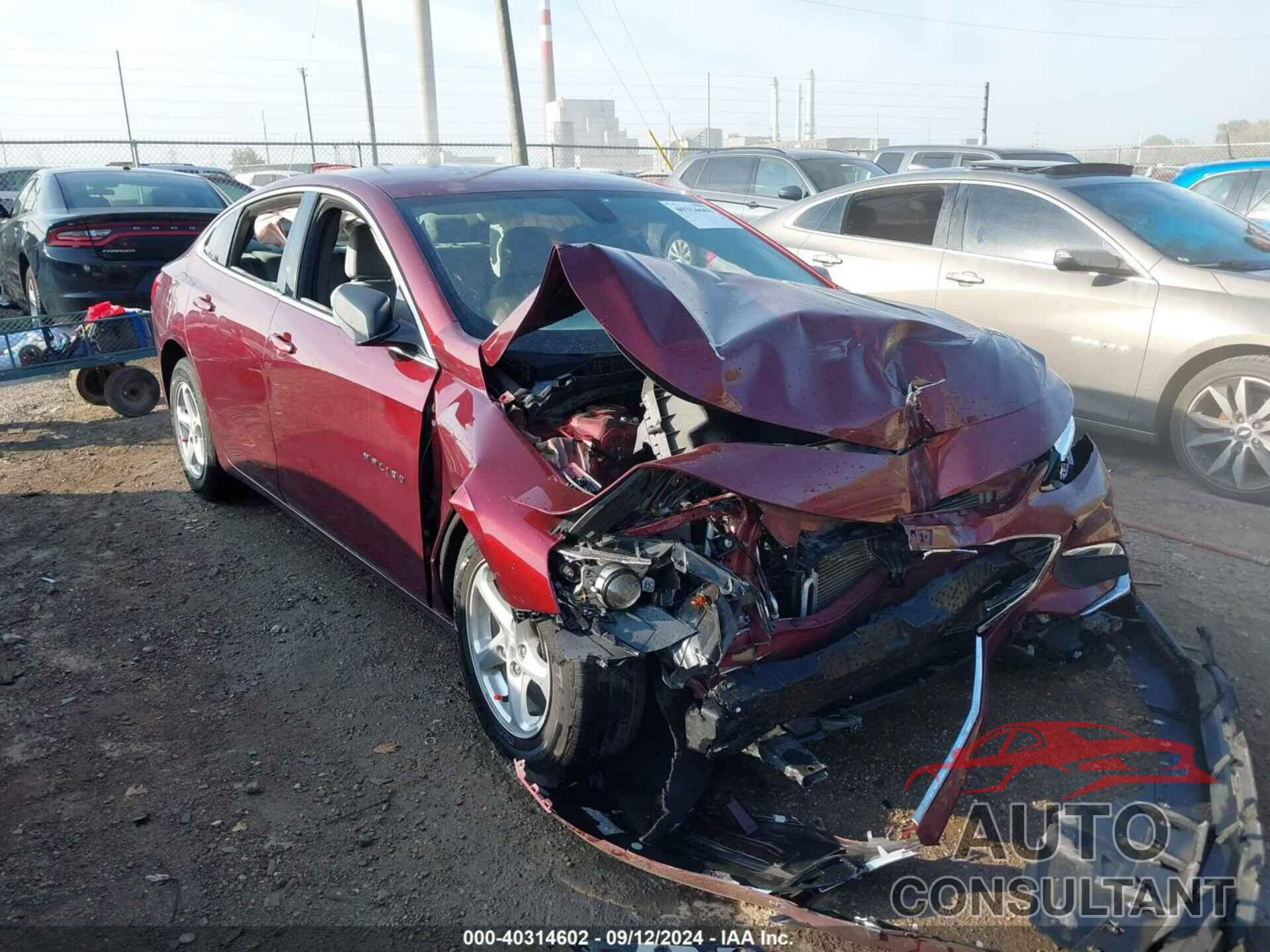 CHEVROLET MALIBU 2016 - 1G1ZB5ST6GF239297