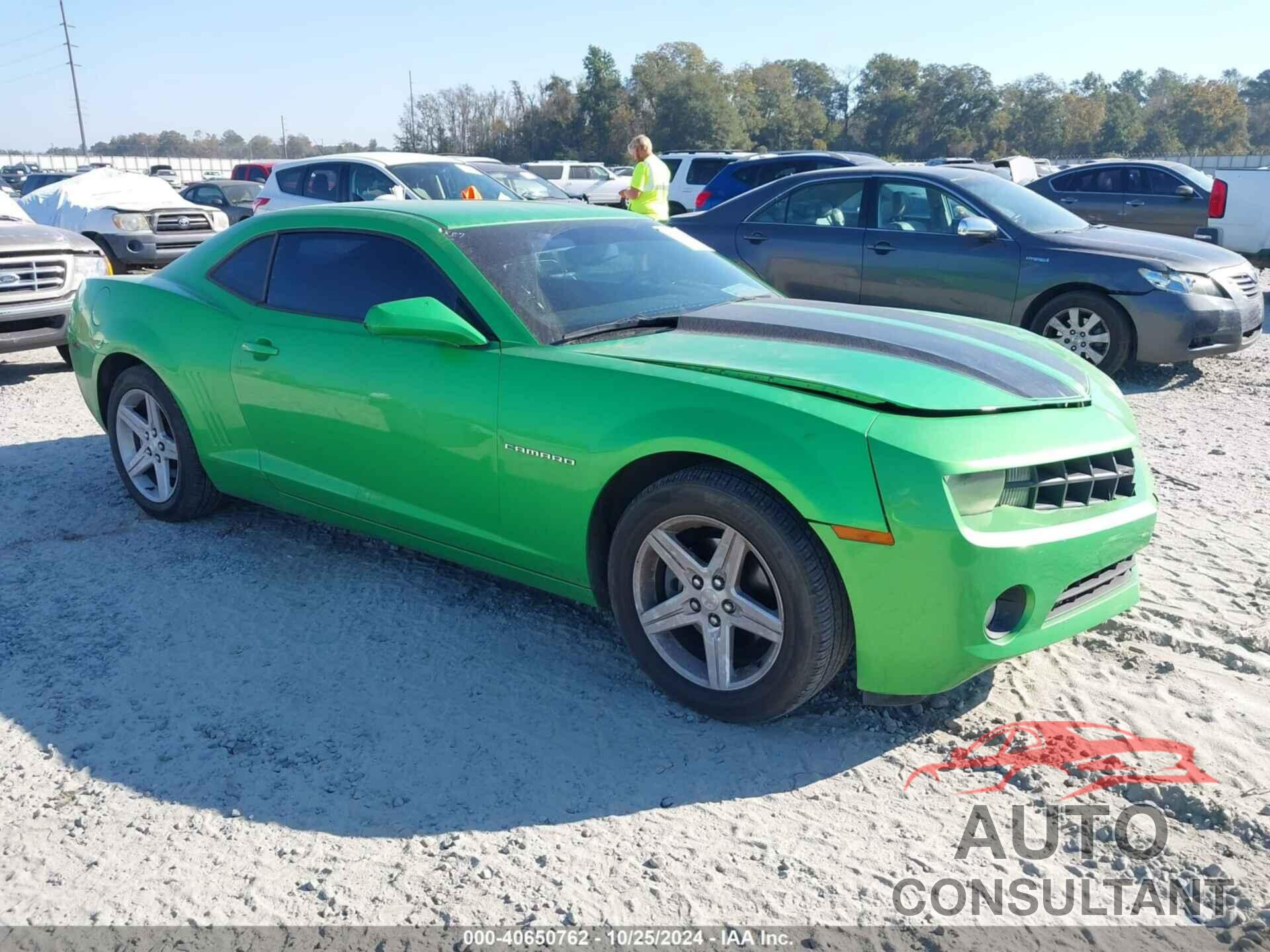 CHEVROLET CAMARO 2011 - 2G1FB1ED1B9132045