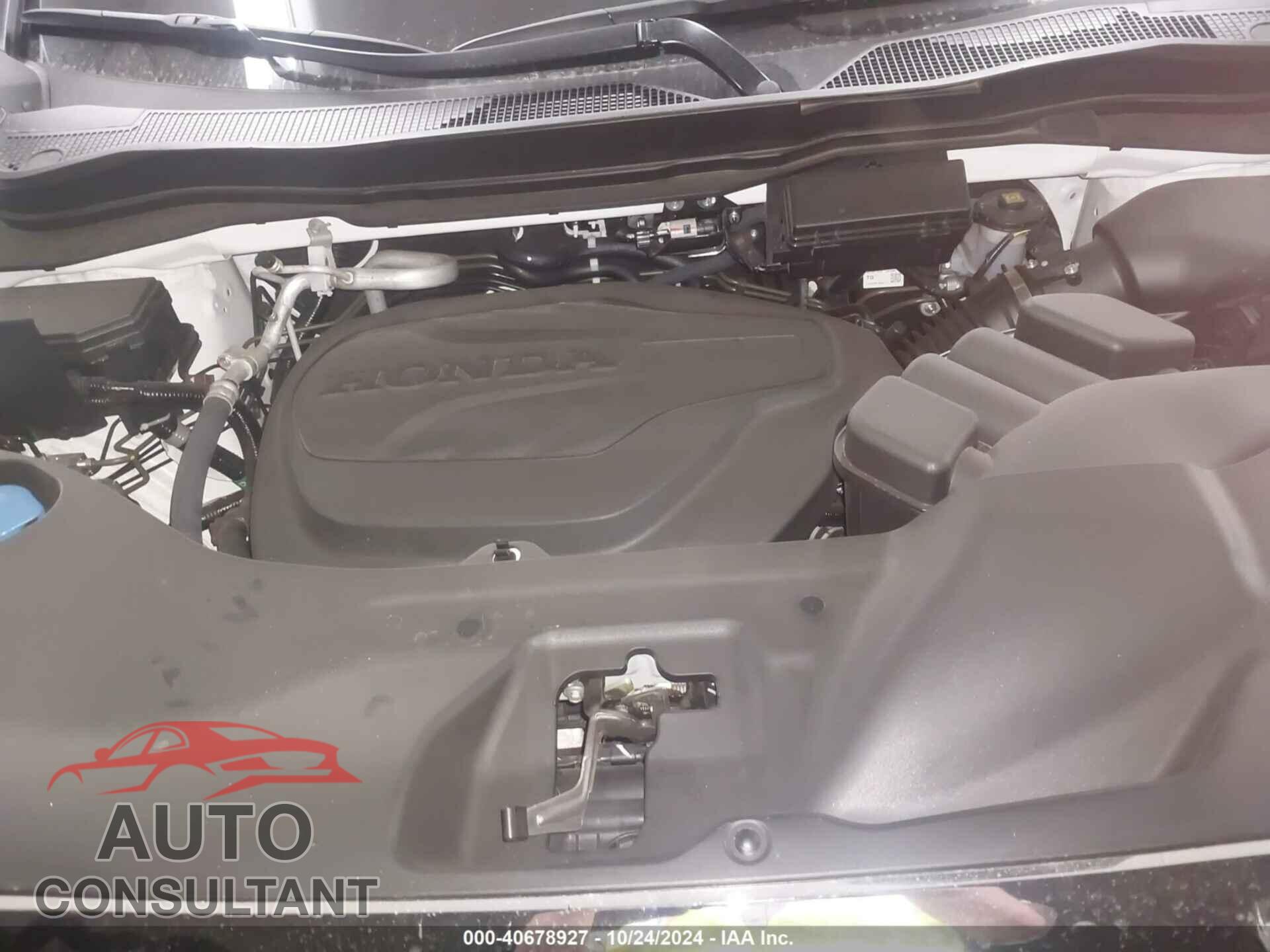HONDA RIDGELINE 2024 - 5FPYK3F58RB004952