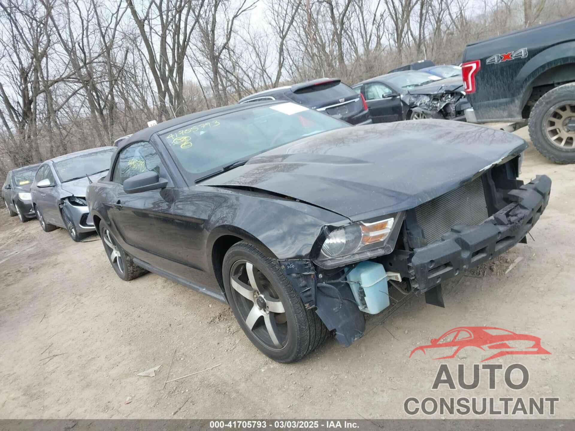FORD MUSTANG 2010 - 1ZVBP8EN5A5113435