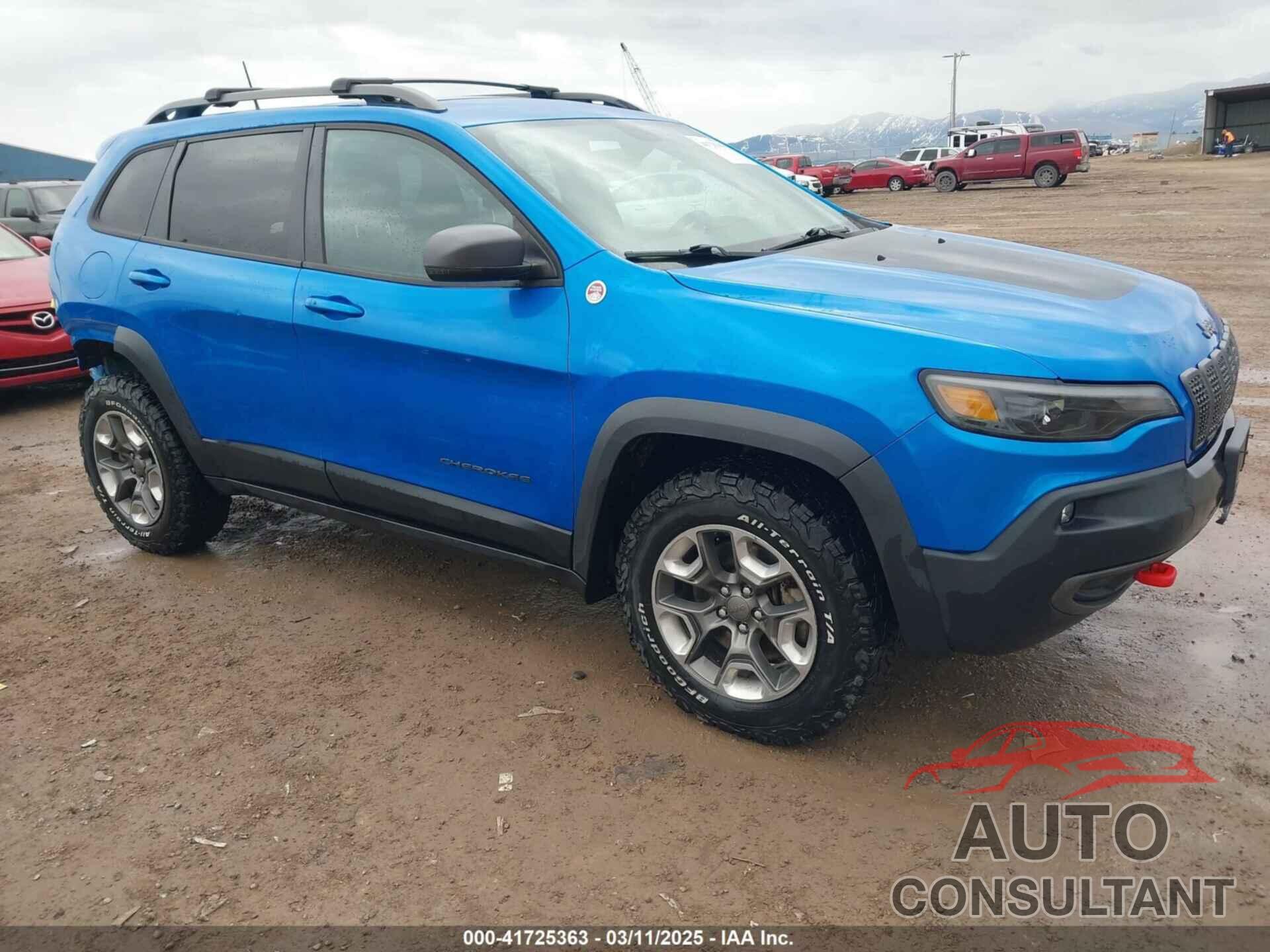 JEEP CHEROKEE 2019 - 1C4PJMBX5KD356839