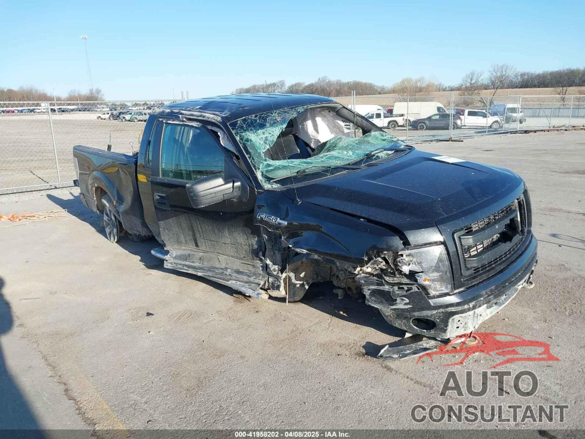 FORD F-150 2013 - 1FTFX1EF3DKD48197