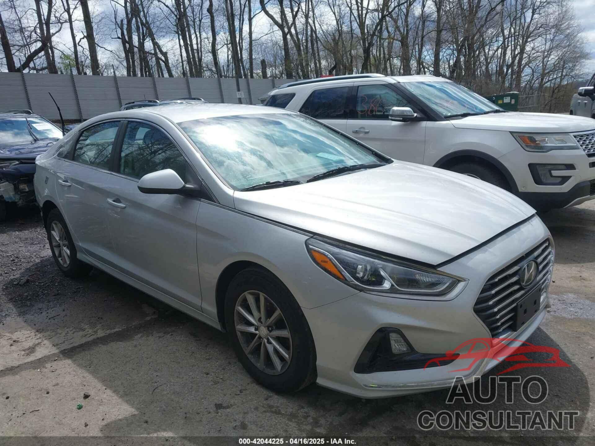 HYUNDAI SONATA 2019 - 5NPE24AF6KH815674