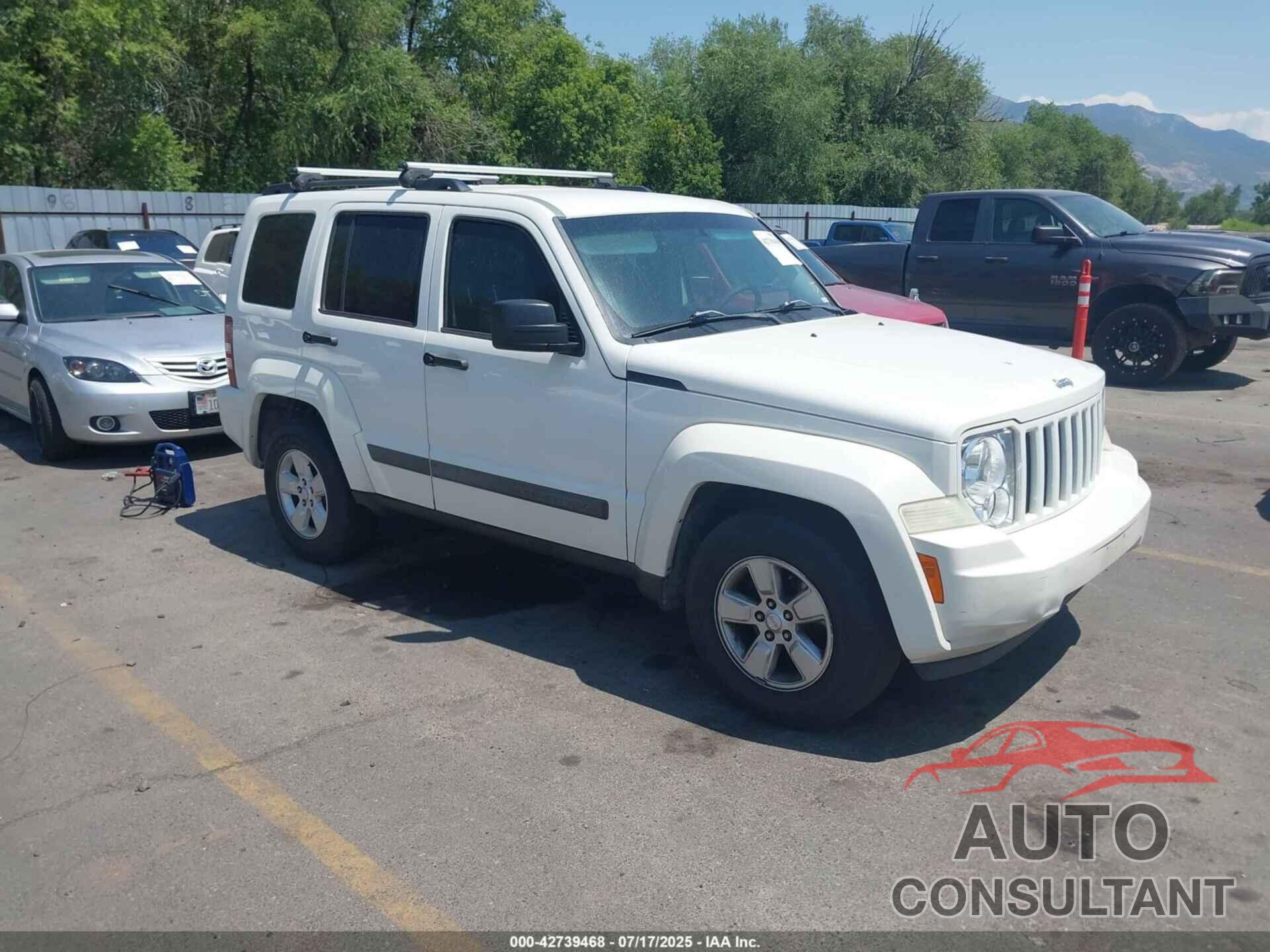 JEEP LIBERTY 2010 - 1J4PN2GK6AW155728