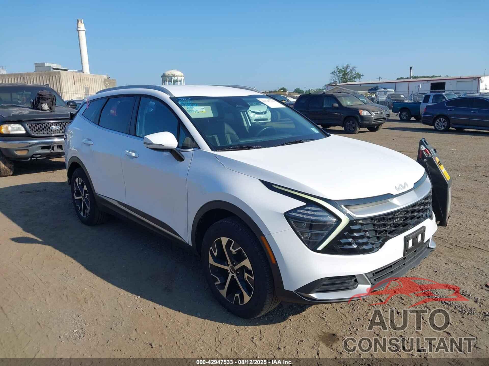 KIA SPORTAGE 2024 - 5XYK3CDF8RG216539