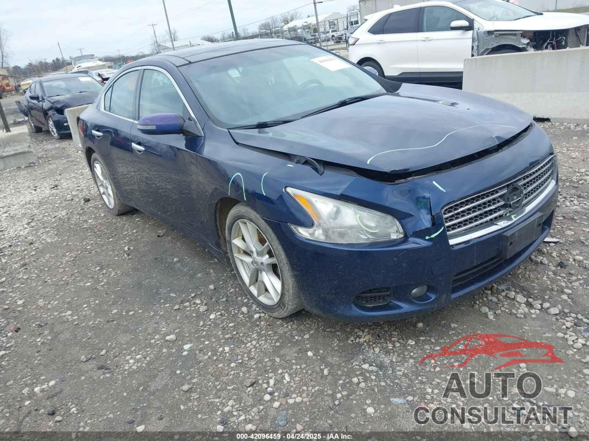 NISSAN MAXIMA 2011 - 1N4AA5AP7BC832971