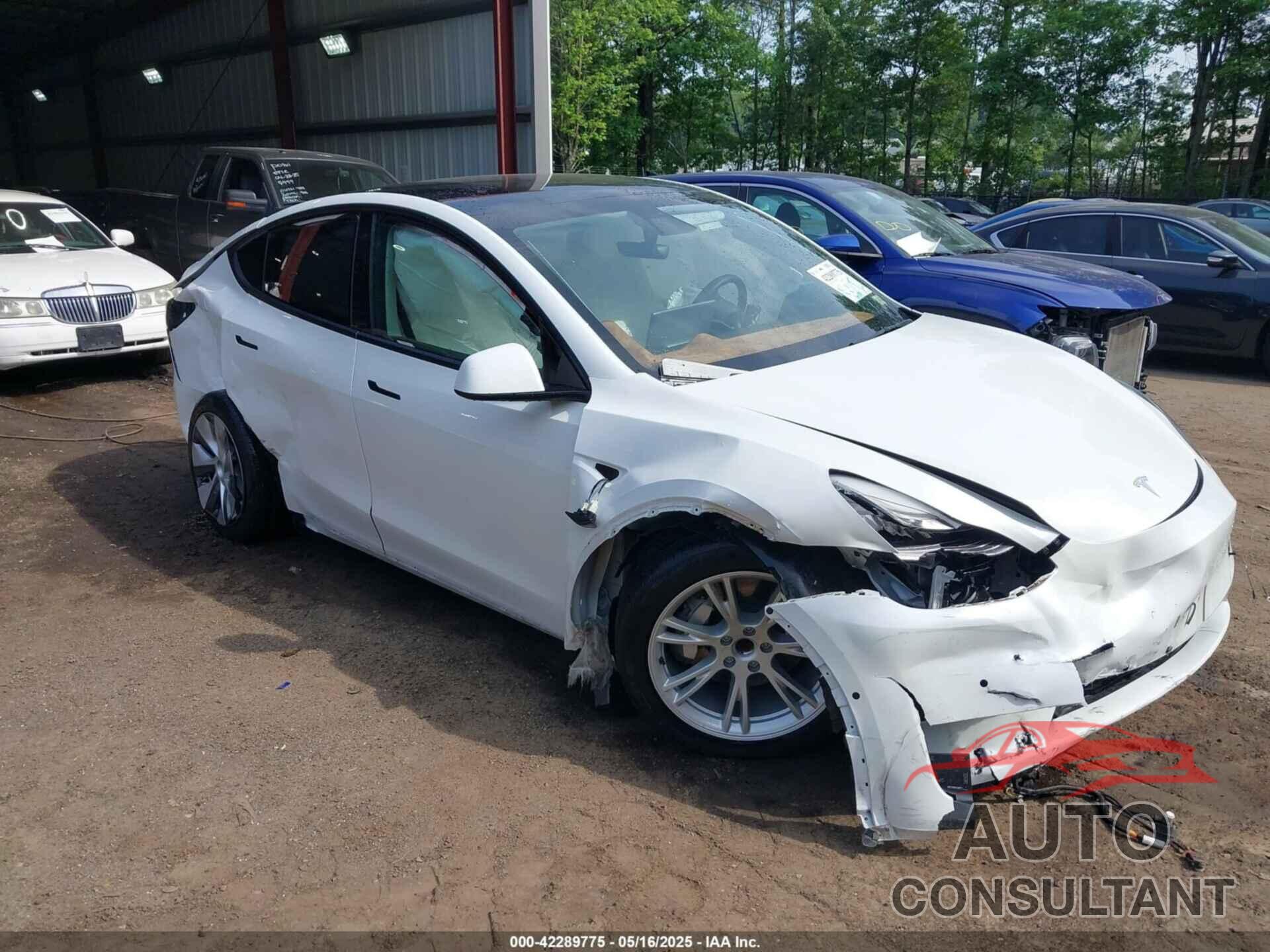 TESLA MODEL Y 2021 - 5YJYGAED8MF173496
