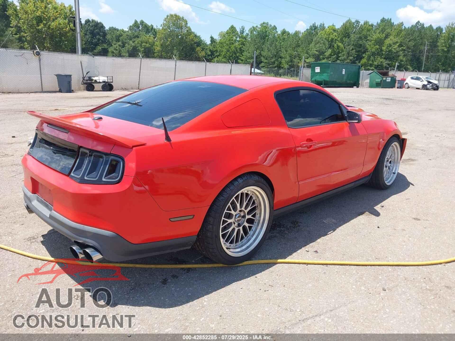 FORD MUSTANG 2011 - 1ZVBP8CF8B5123597