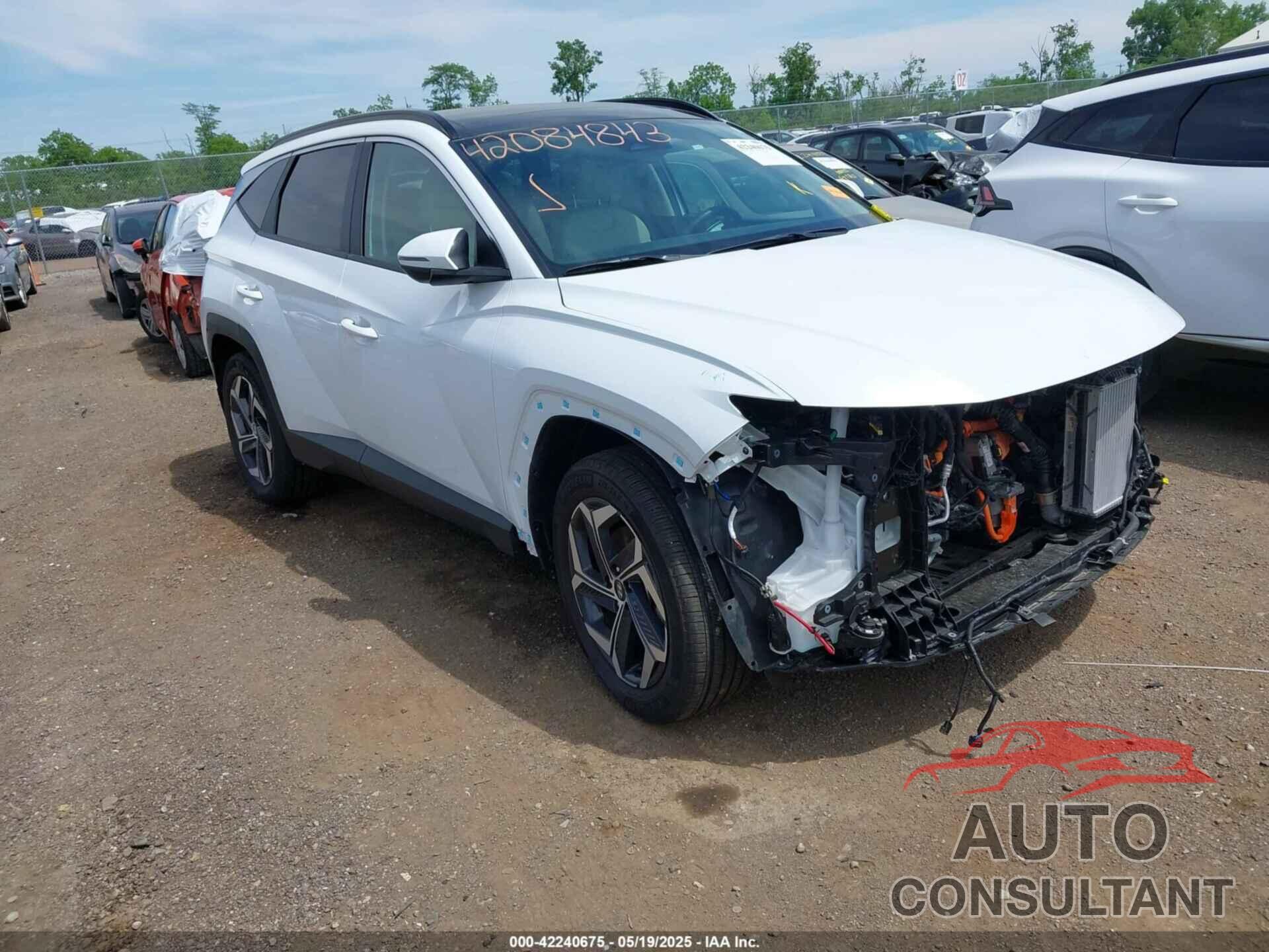 HYUNDAI TUCSON HYBRID 2024 - KM8JCCD11RU163872