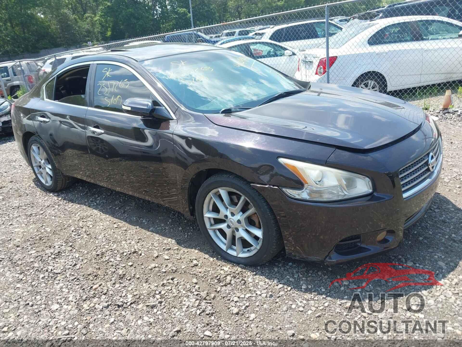 NISSAN MAXIMA 2010 - 1N4AA5AP8AC823971