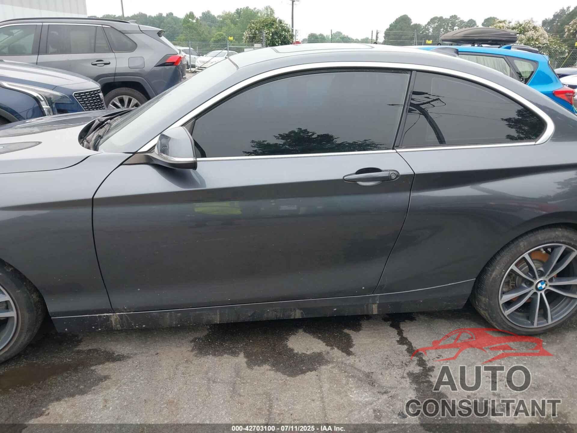 BMW 230I 2019 - WBA2J1C51K7D52548