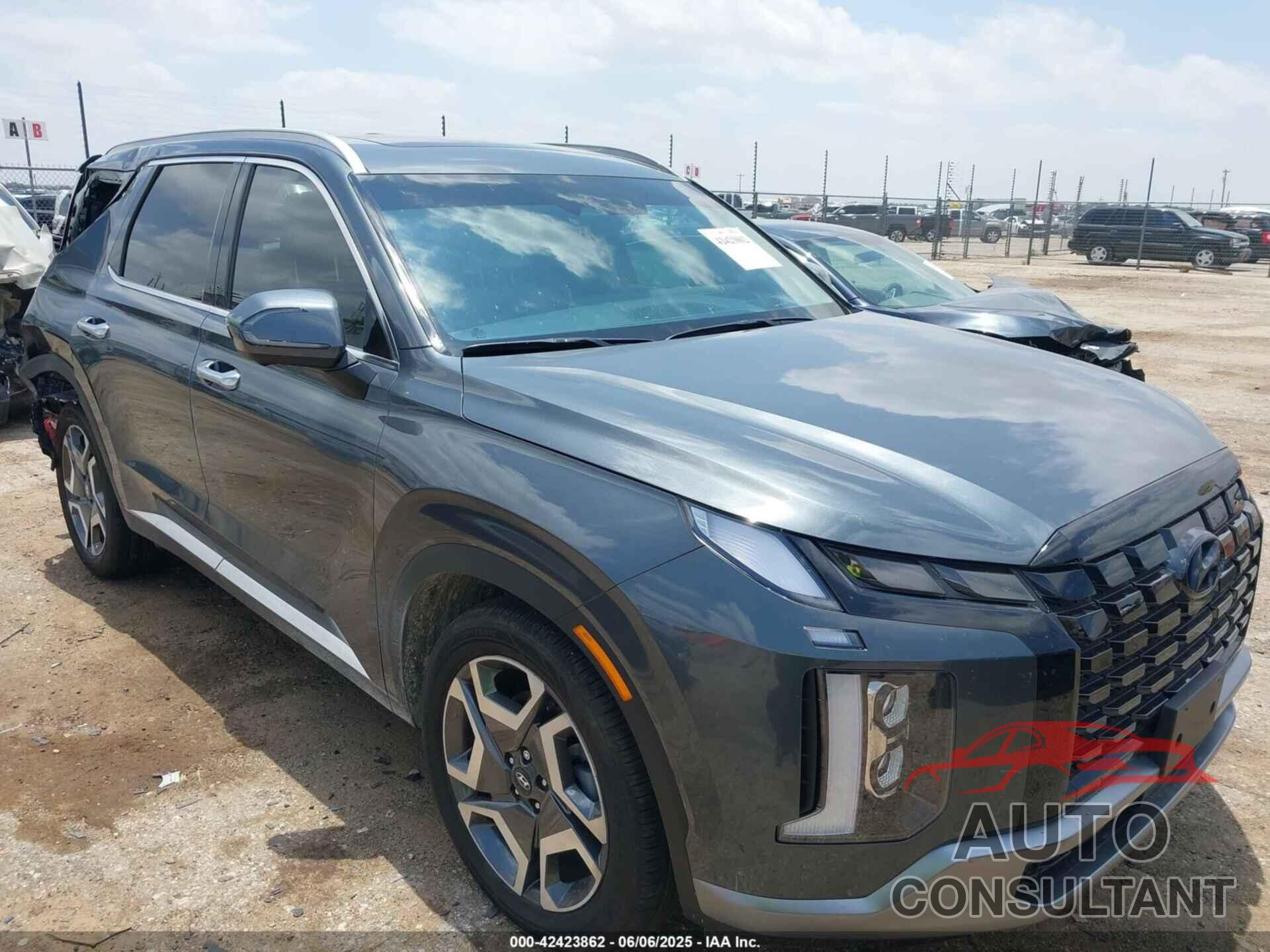 HYUNDAI PALISADE 2025 - KM8R5DGE0SU918601