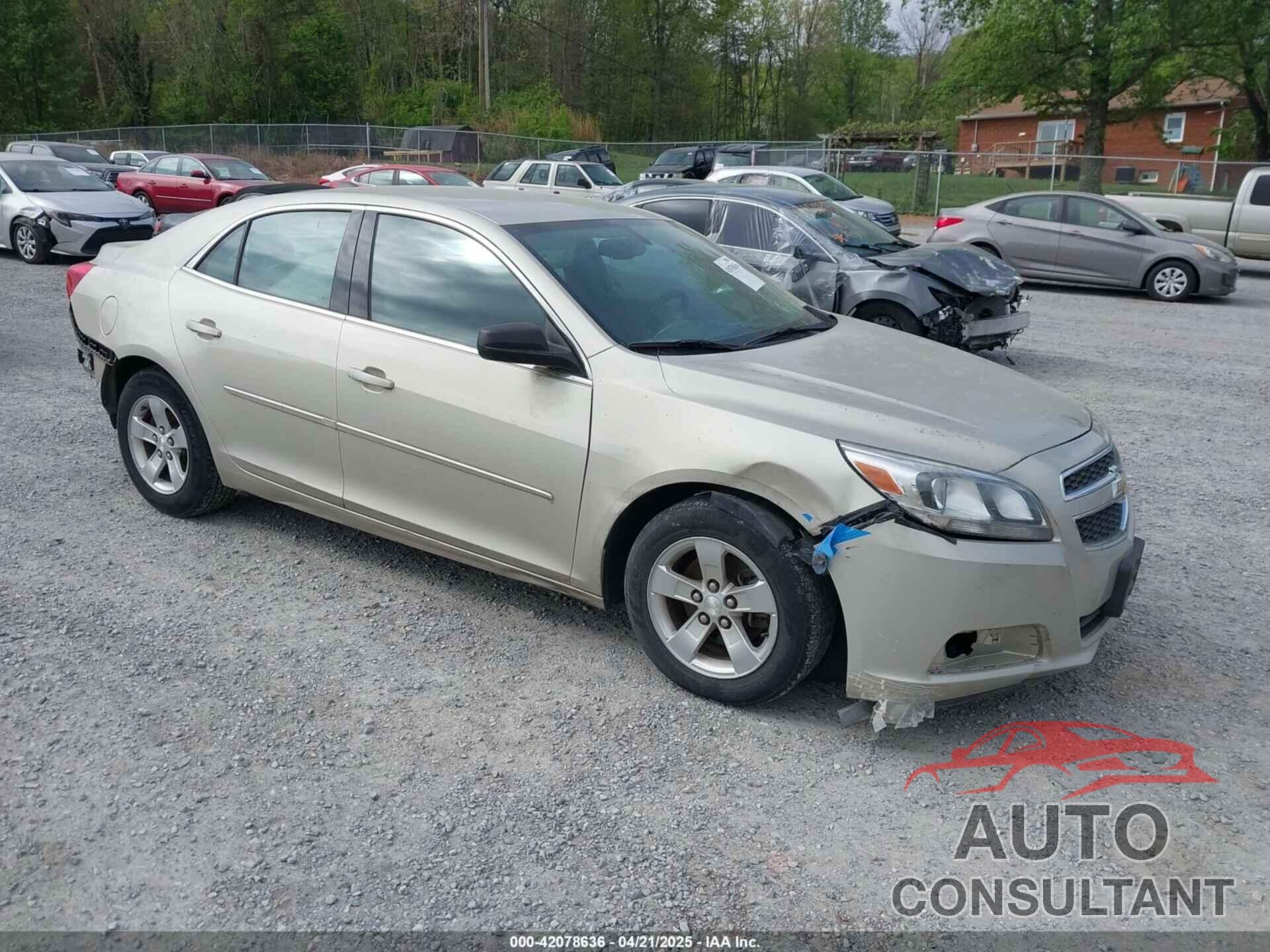 CHEVROLET MALIBU 2013 - 1G11B5SA5DF160534
