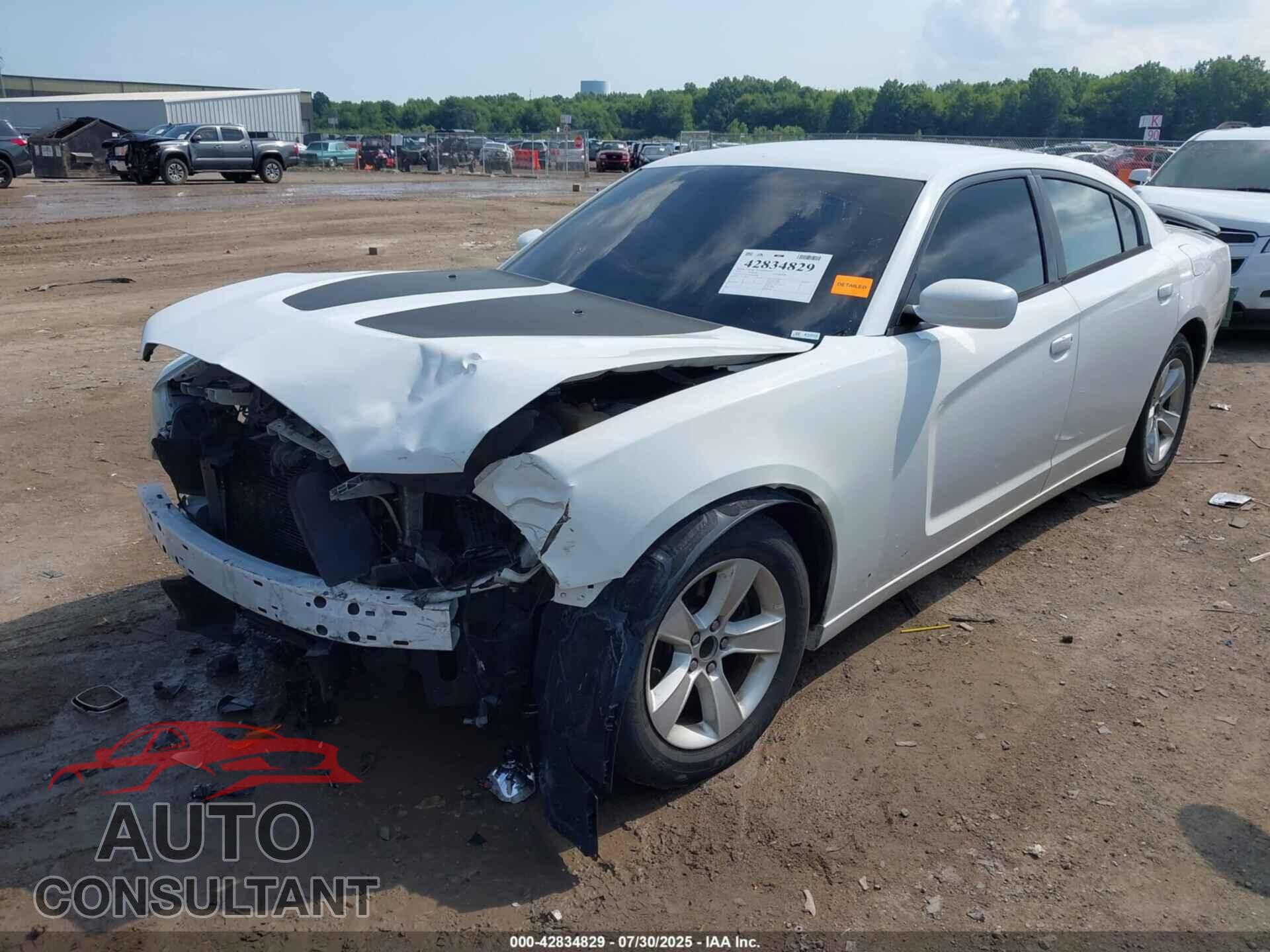DODGE CHARGER 2013 - 2C3CDXBG2DH689596