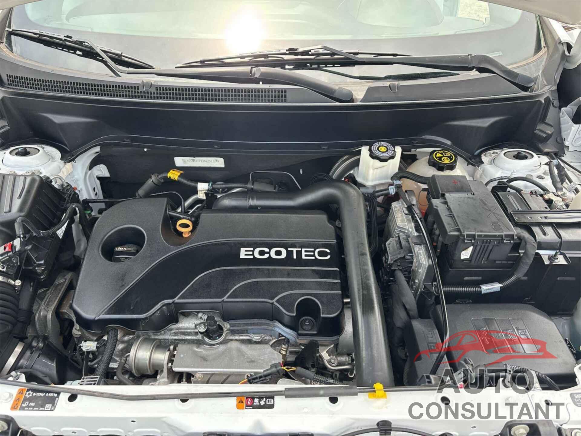 CHEVROLET EQUINOX 2019 - 2GNAXTEV3K6257774