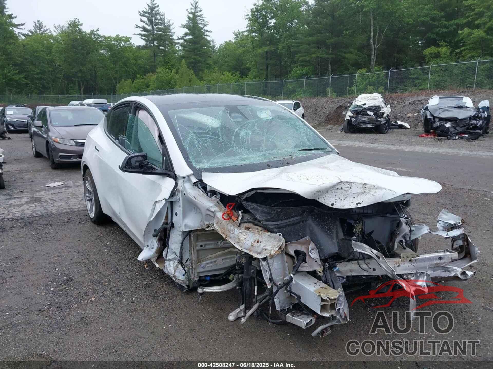 TESLA MODEL Y 2023 - 7SAYGDEE5PF892772