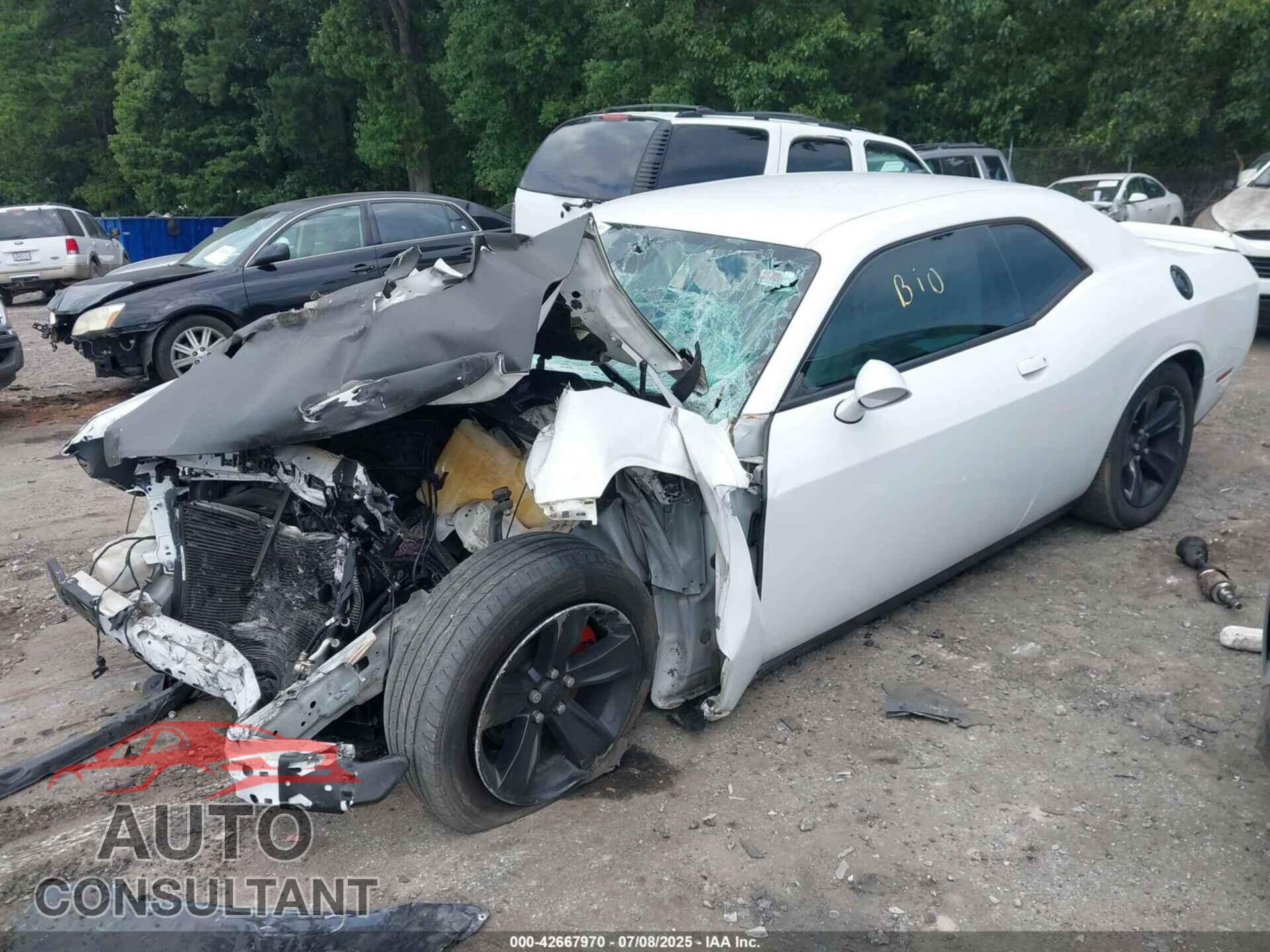 DODGE CHALLENGER 2019 - 2C3CDZAG7KH672562