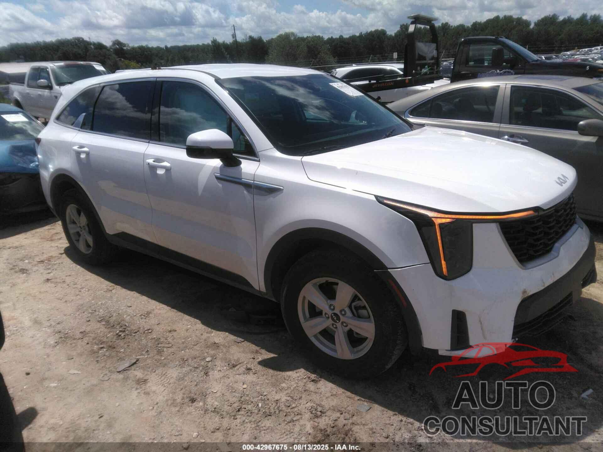 KIA SORENTO 2024 - 5XYRG4JC7RG254721