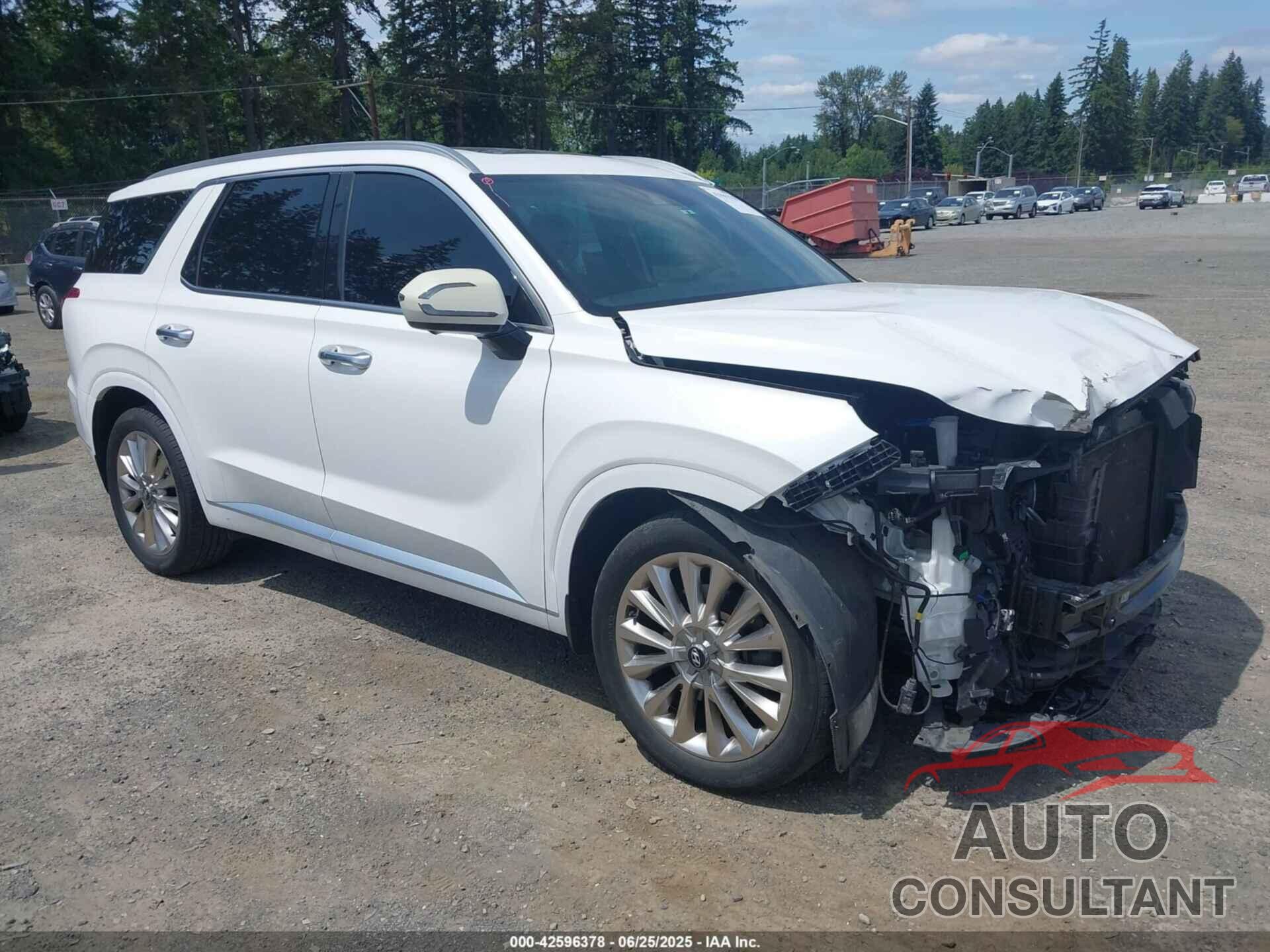 HYUNDAI PALISADE 2020 - KM8R5DHE9LU074994