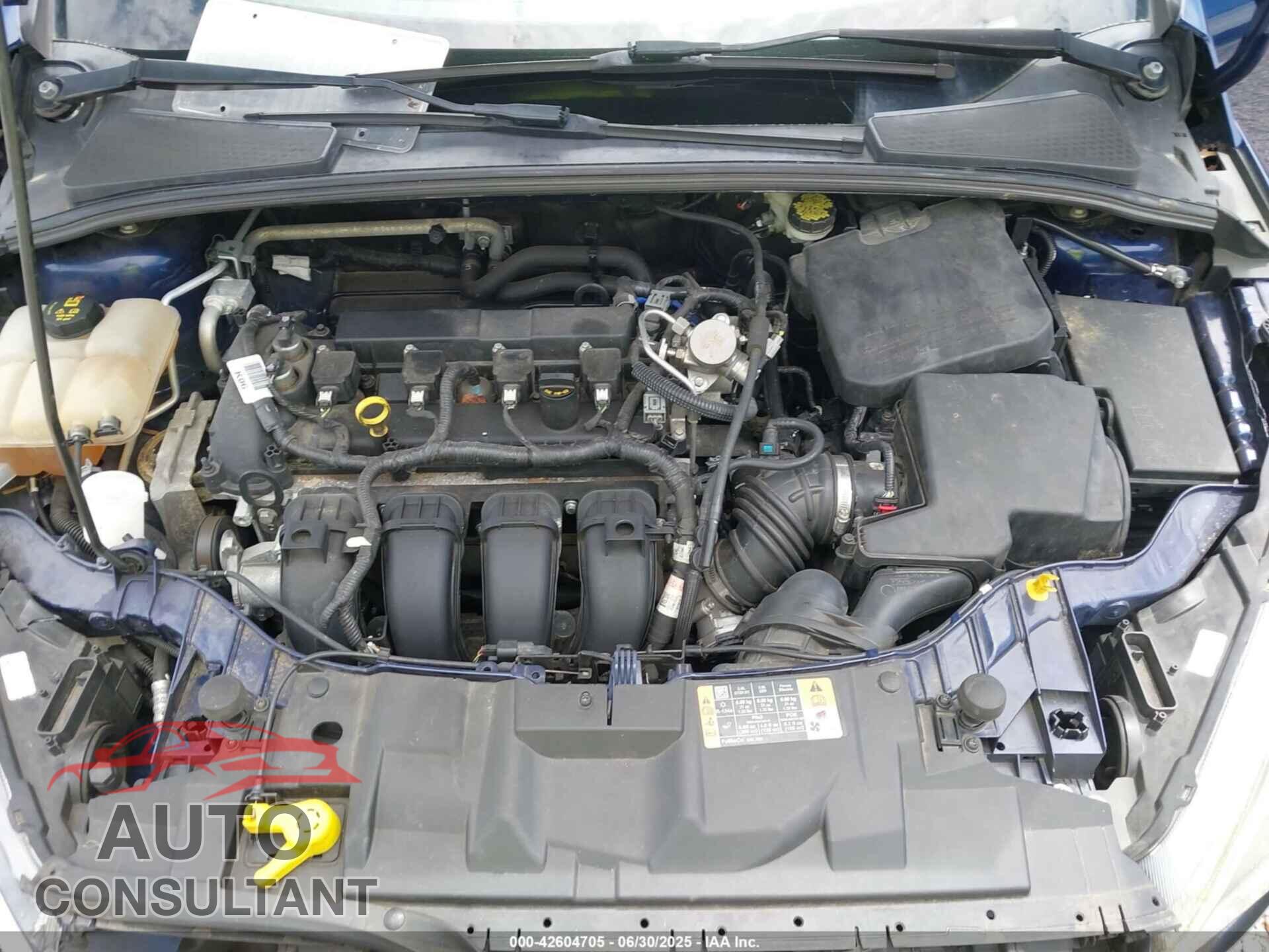 FORD FOCUS 2016 - 1FADP3F23GL368811