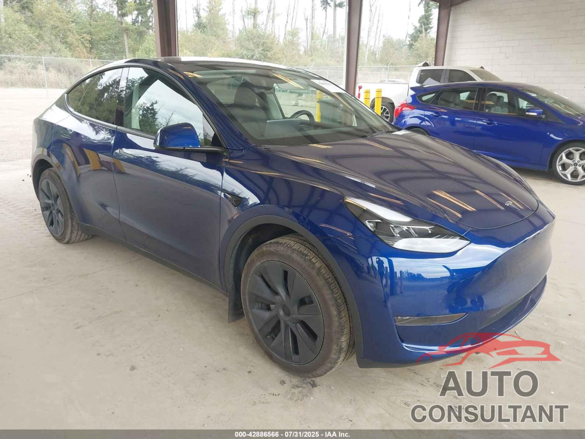 TESLA MODEL Y 2024 - 7SAYGDED5RF121075
