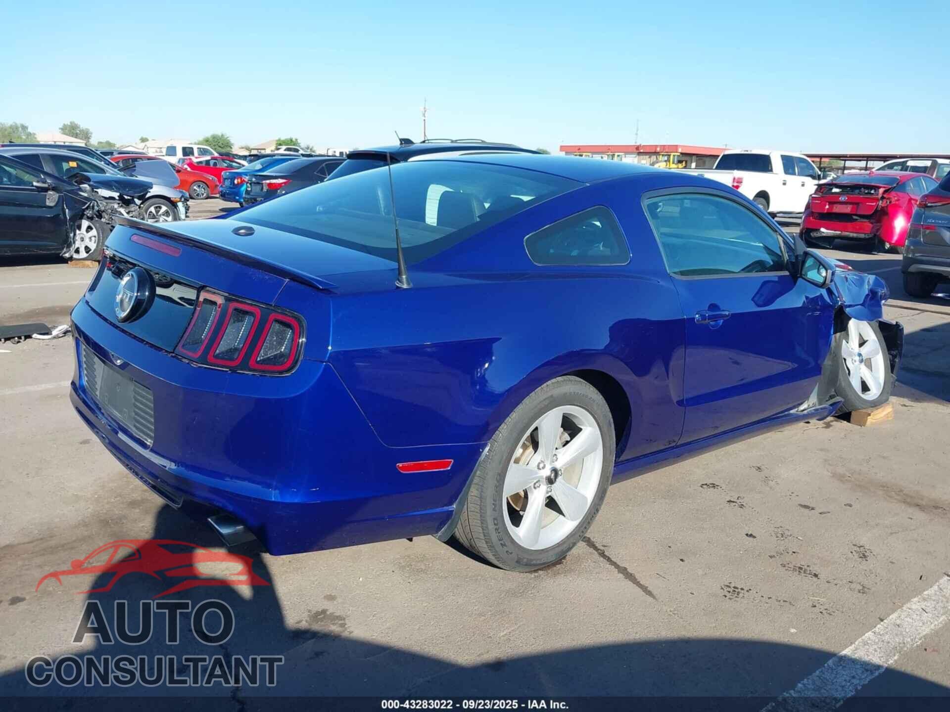 FORD MUSTANG 2014 - 1ZVBP8CF5E5200527