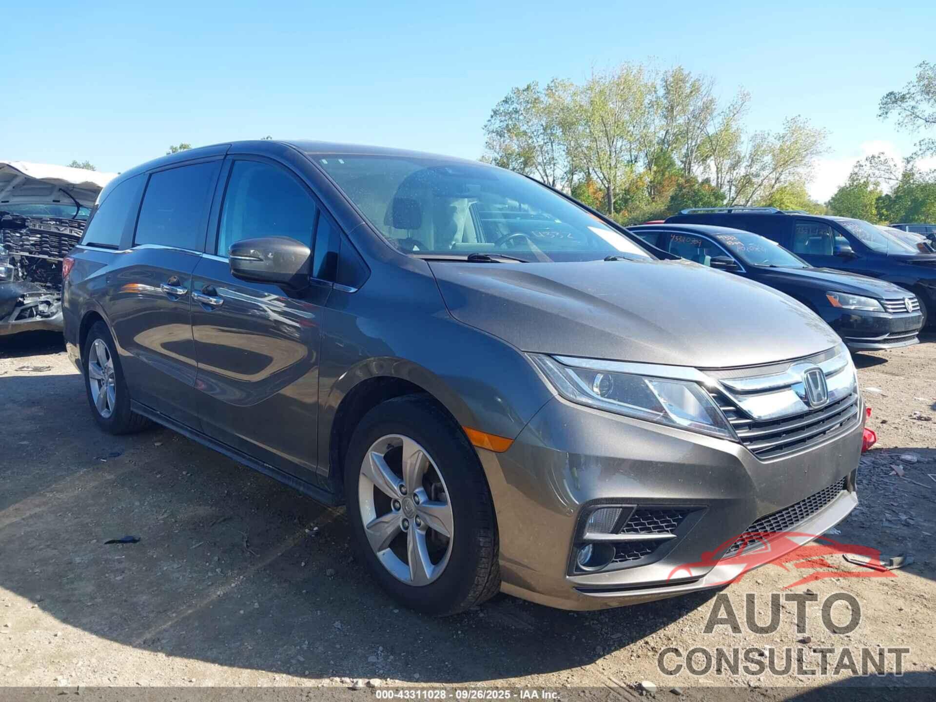 HONDA ODYSSEY 2019 - 5FNRL6H71KB101877
