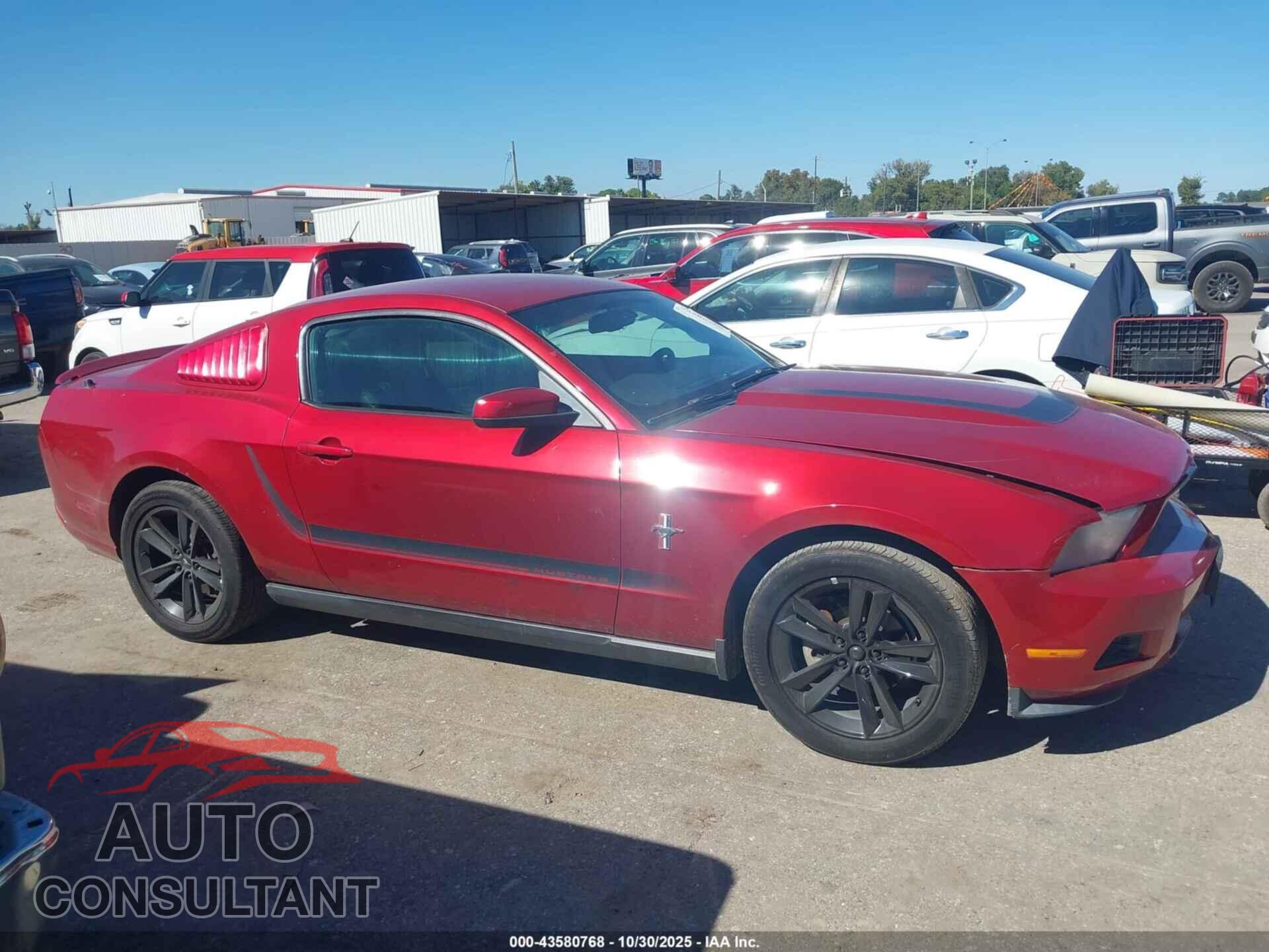 FORD MUSTANG 2010 - 1ZVBP8AN0A5154903