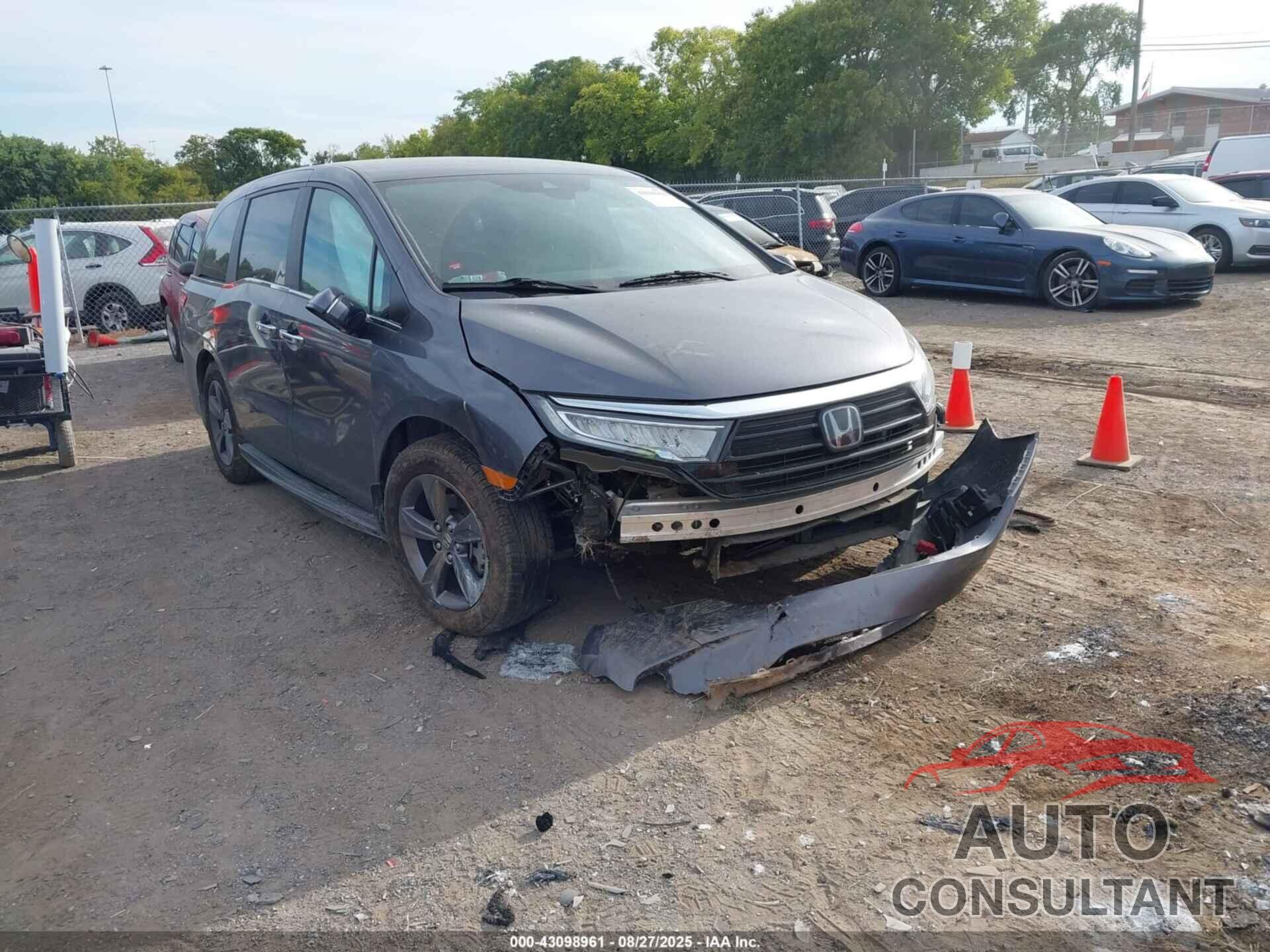 HONDA ODYSSEY 2024 - 5FNRL6H58RB035904