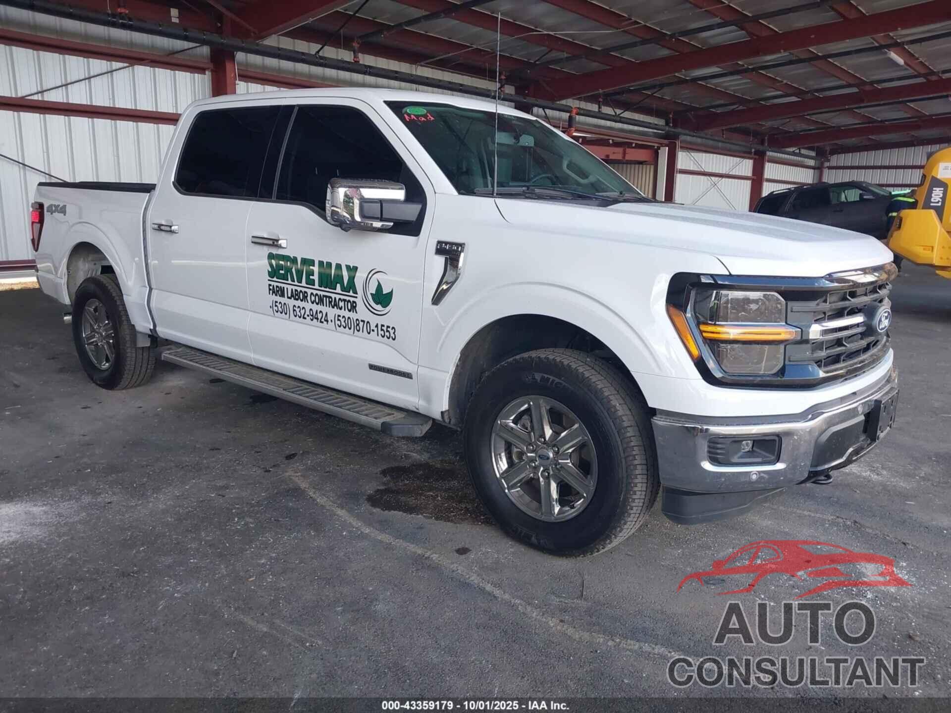 FORD F-150 2024 - 1FTFW3LD0RFB04216
