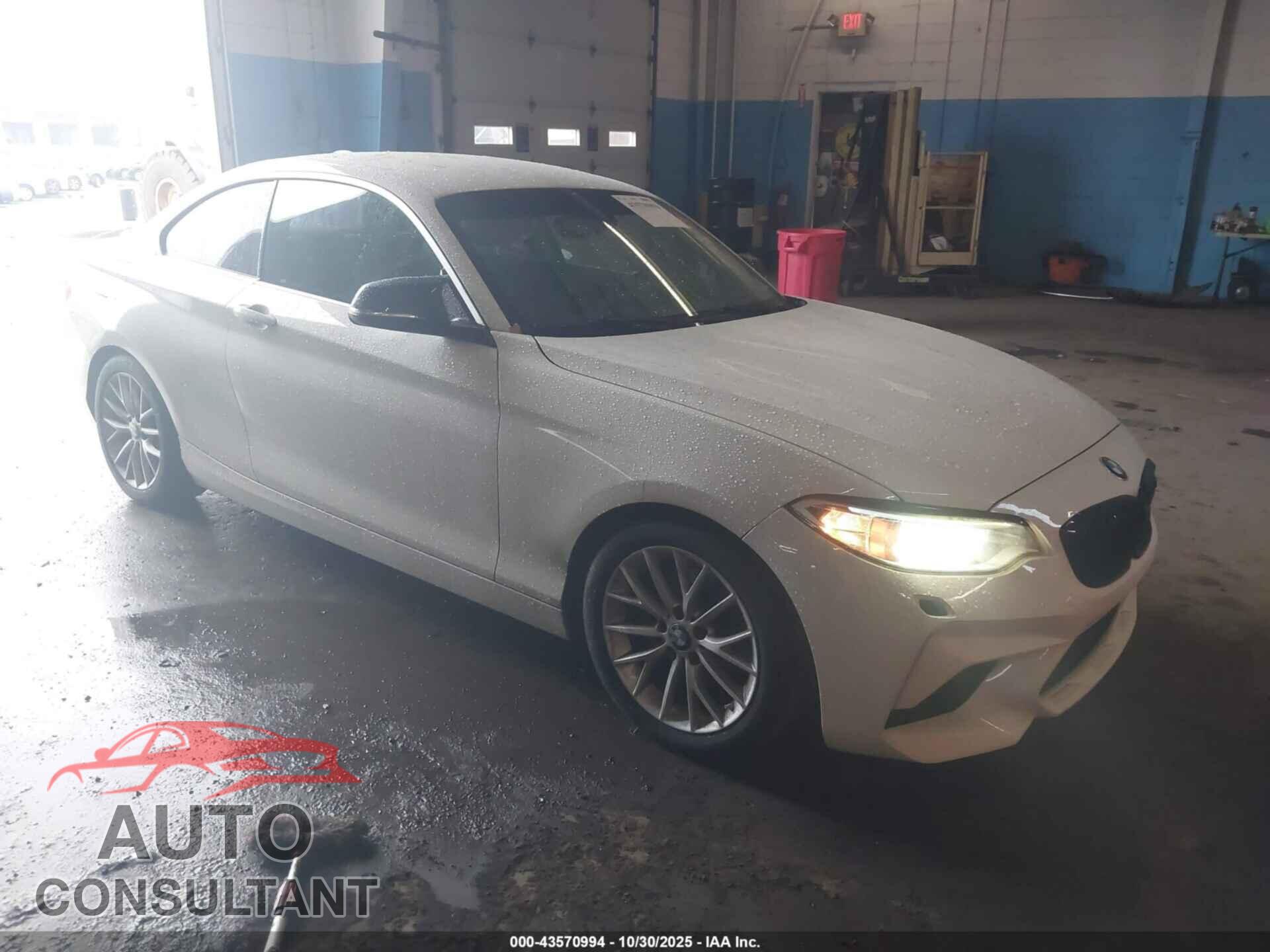 BMW 228I 2015 - WBA1F5C54FV343426
