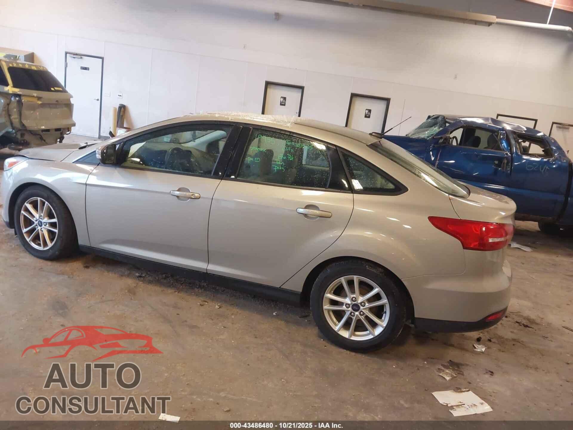 FORD FOCUS 2016 - 1FADP3F23GL276971