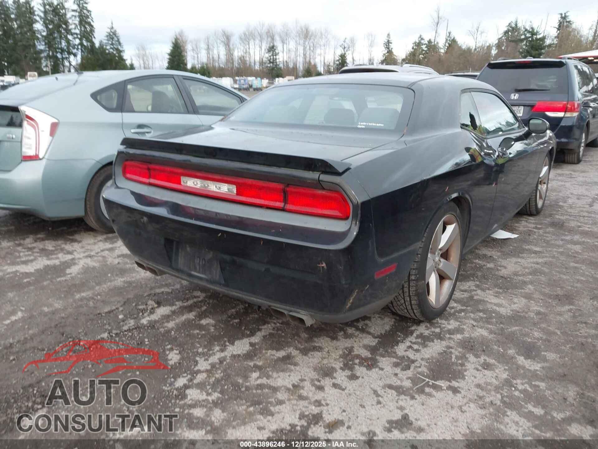 DODGE CHALLENGER 2010 - 2B3CJ5DTXAH142656