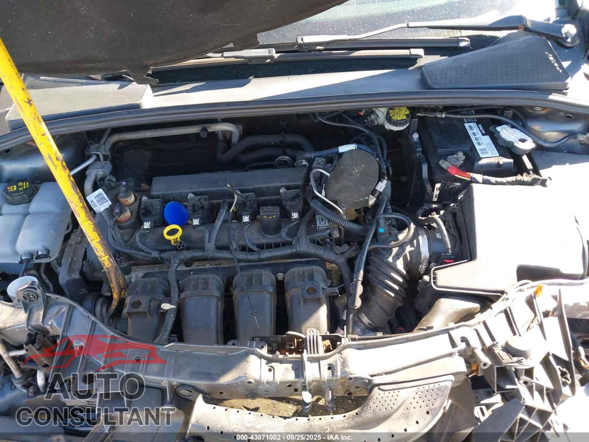 FORD FOCUS 2016 - 1FADP3F28GL217785